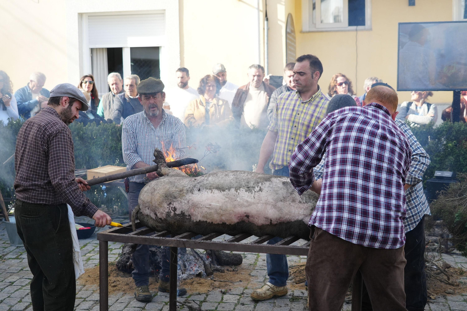 Un momento del ritual del sacrificio del cerdo en la Fiesta de la Matanza de Alcaracejos. Un momento del ritual del sacrificio del cerdo en la Fiesta de la Matanza de Alcaracejos.