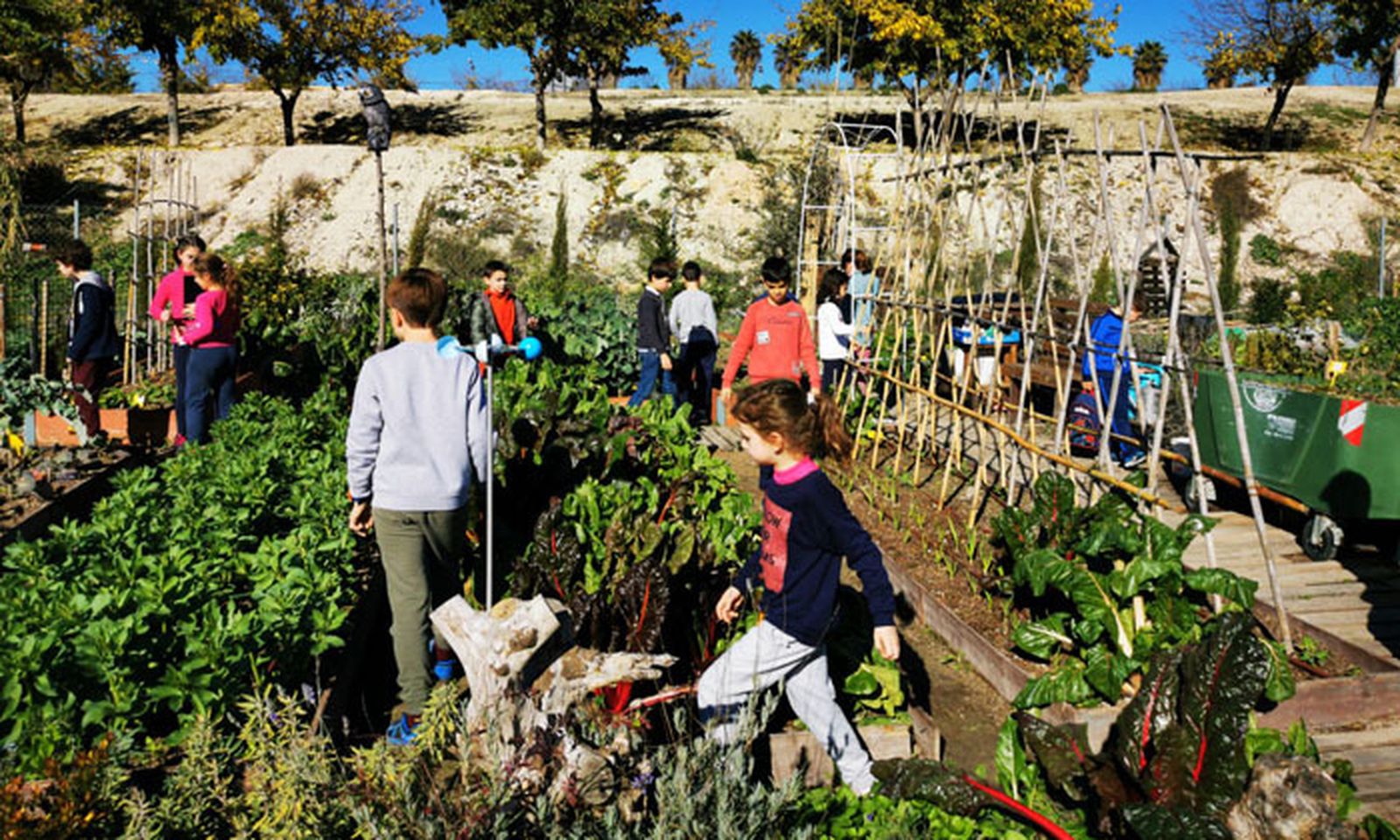 Visita escolar en los huertos sociales de Lucena.