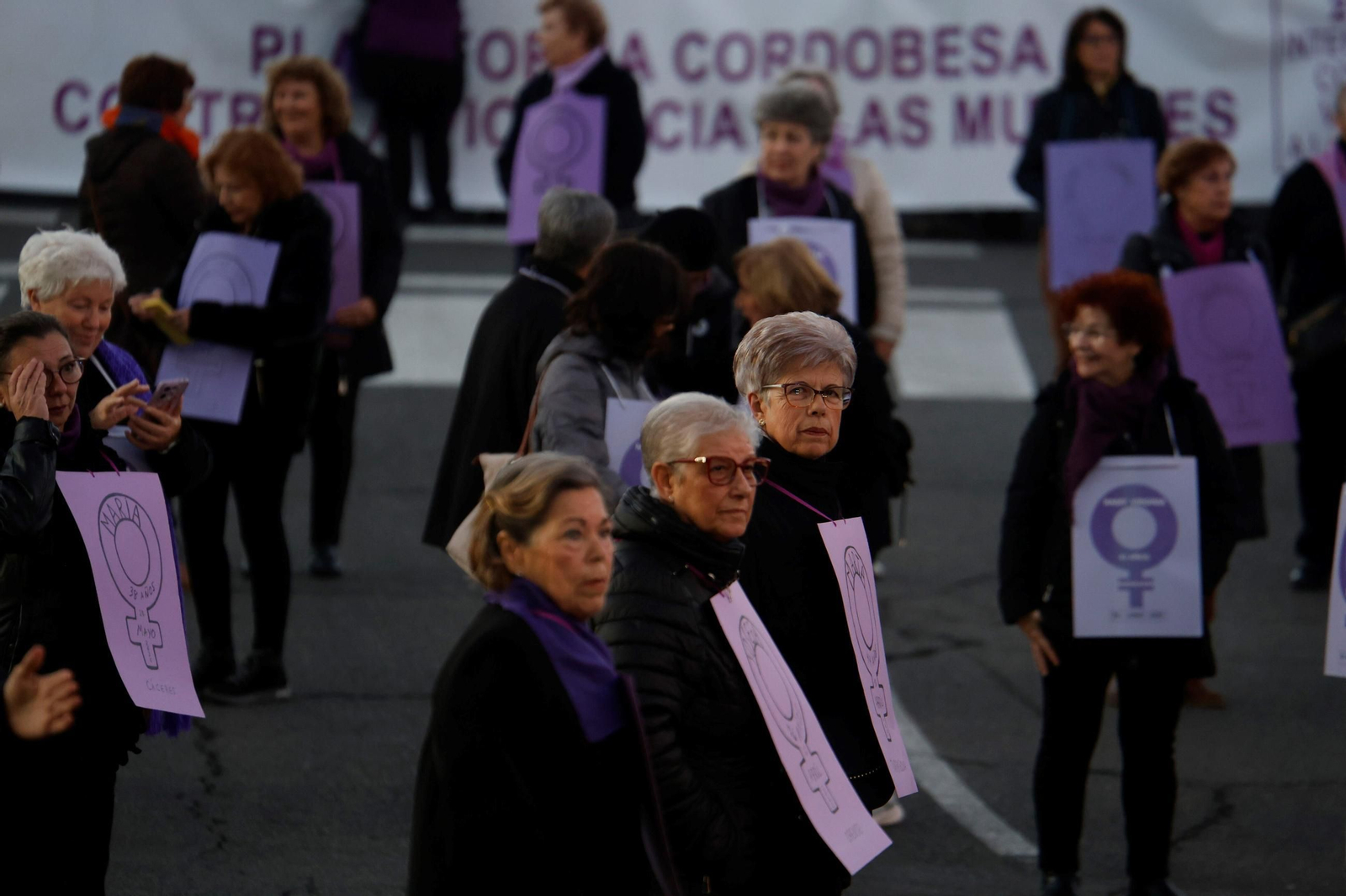 La manifestación del 25N en Córdoba