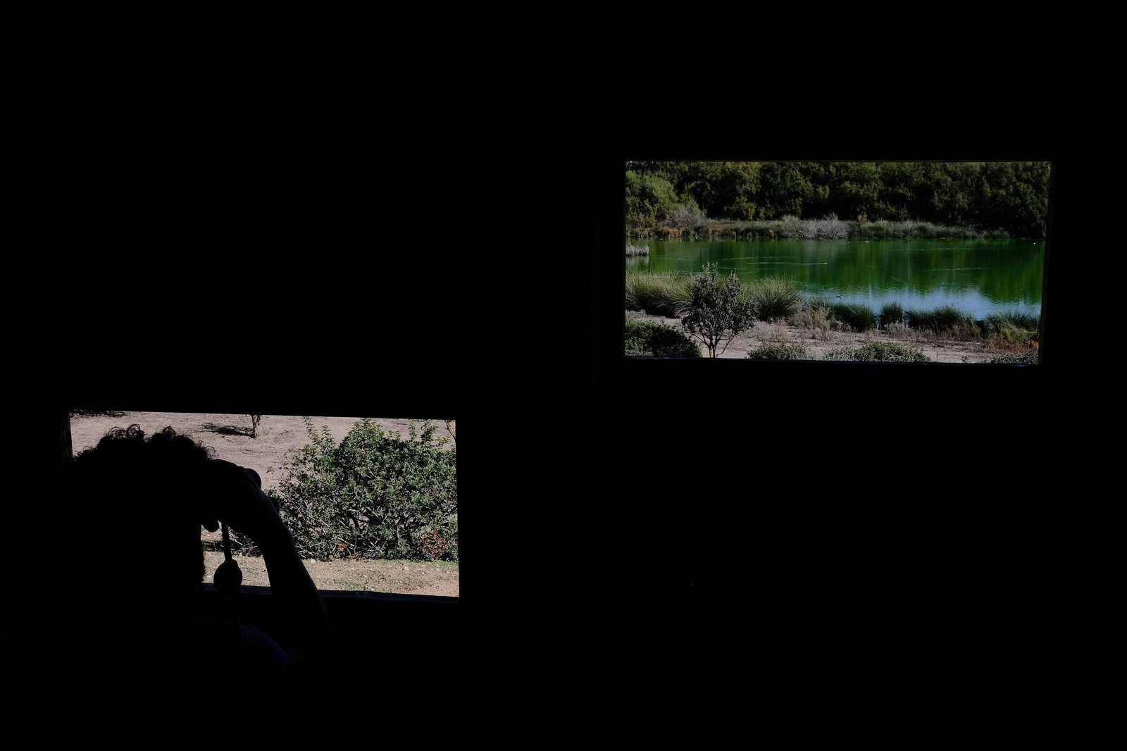 Laguna de Fuente de Piedra tras las lluvias, en fotos