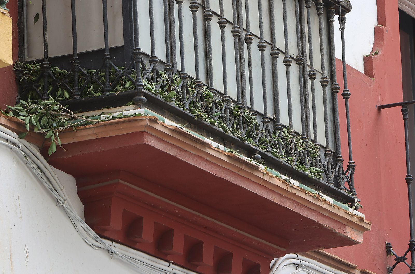 Los desperfectos en la Encarnación tras desplomarse parte del ficus.