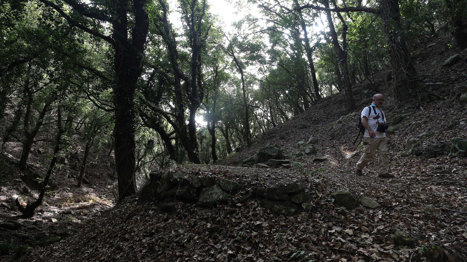 Las mejores fotos de San Carlos del Tiradero