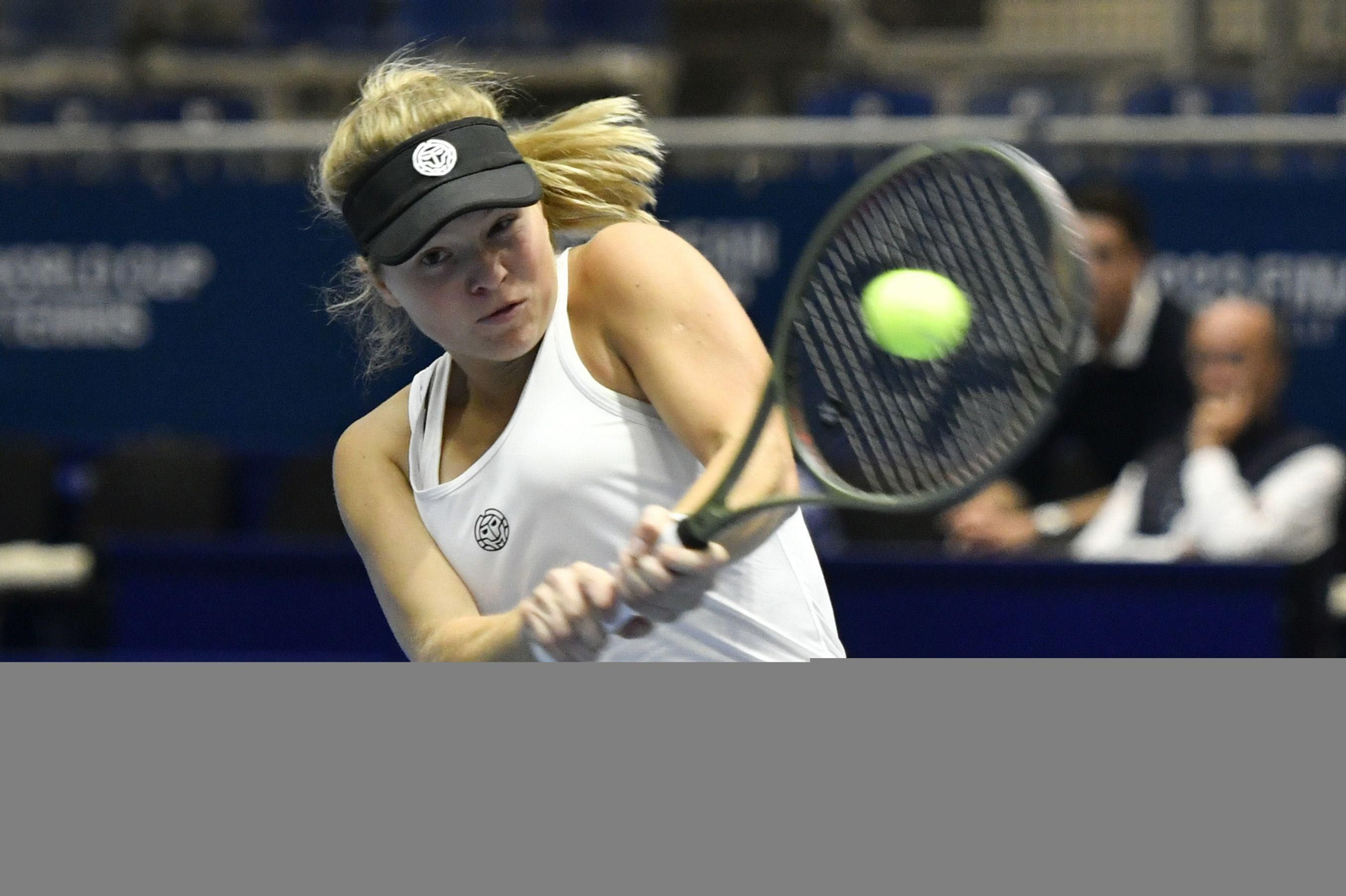 Copa Billie Jean King