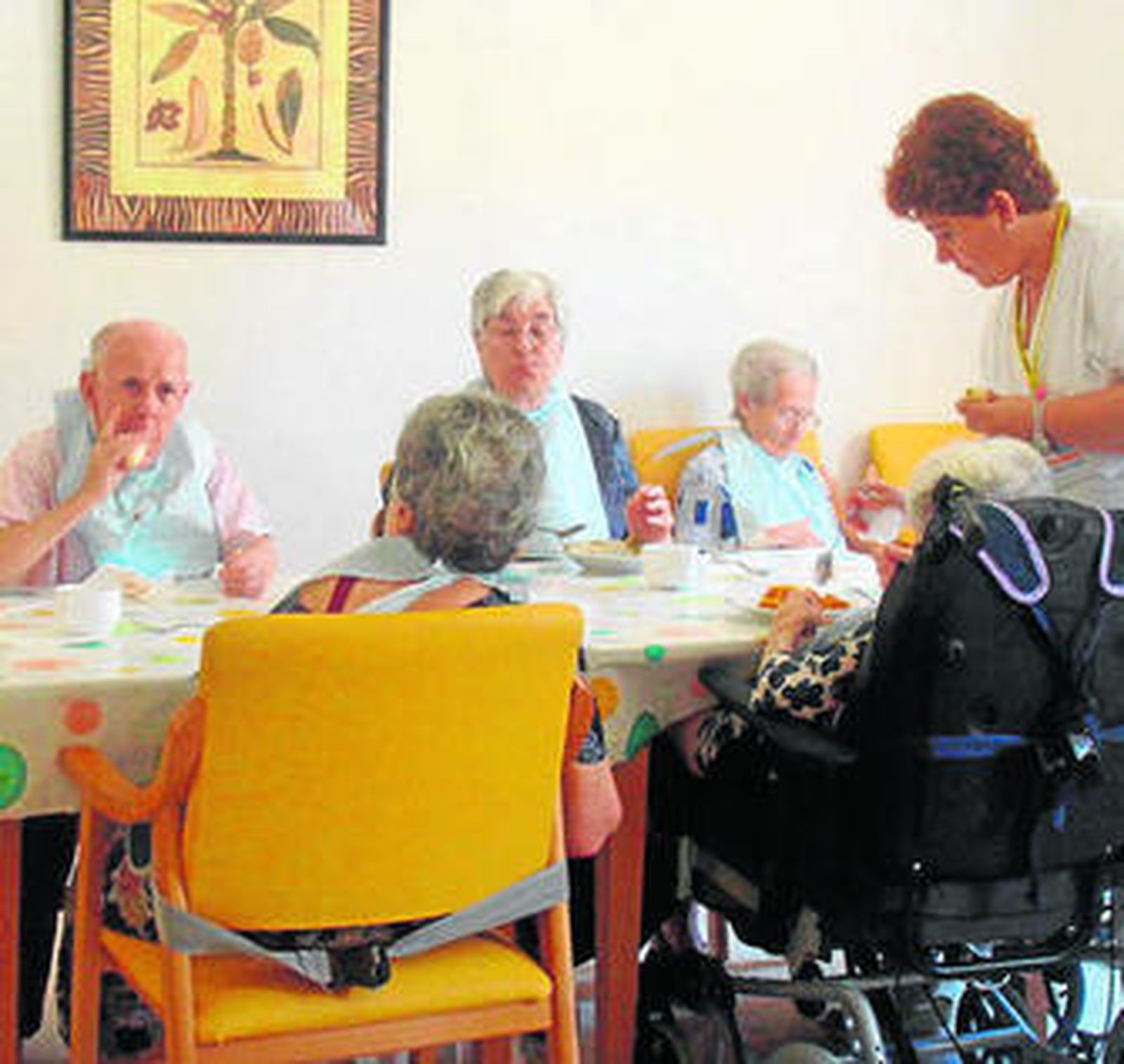 Una imagen tomada en el centro Guadalete de Afanas.