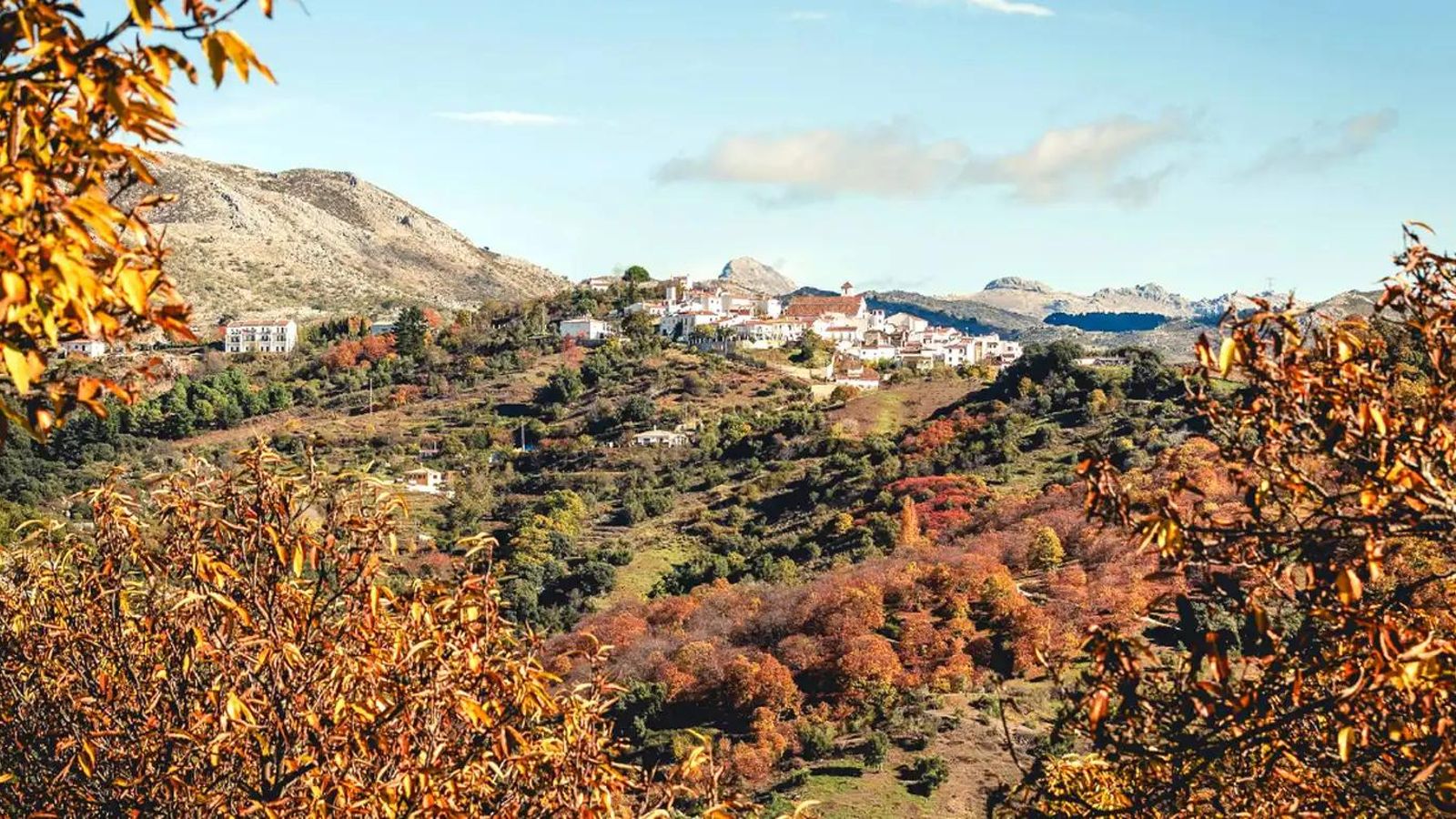 Una imagen de Cartajima desde el Bosque de Cobre.