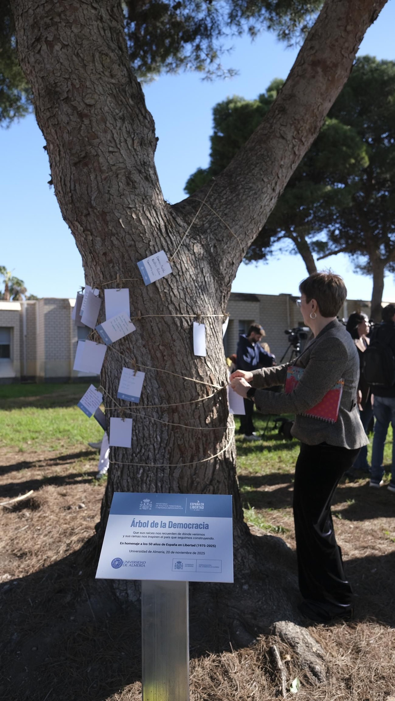 El árbol de la democracia de la Universidad de Almería, en imágenes