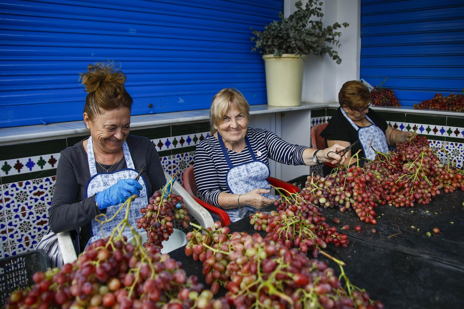 La tradicional faena de la uva de Canjayar, en imágenes