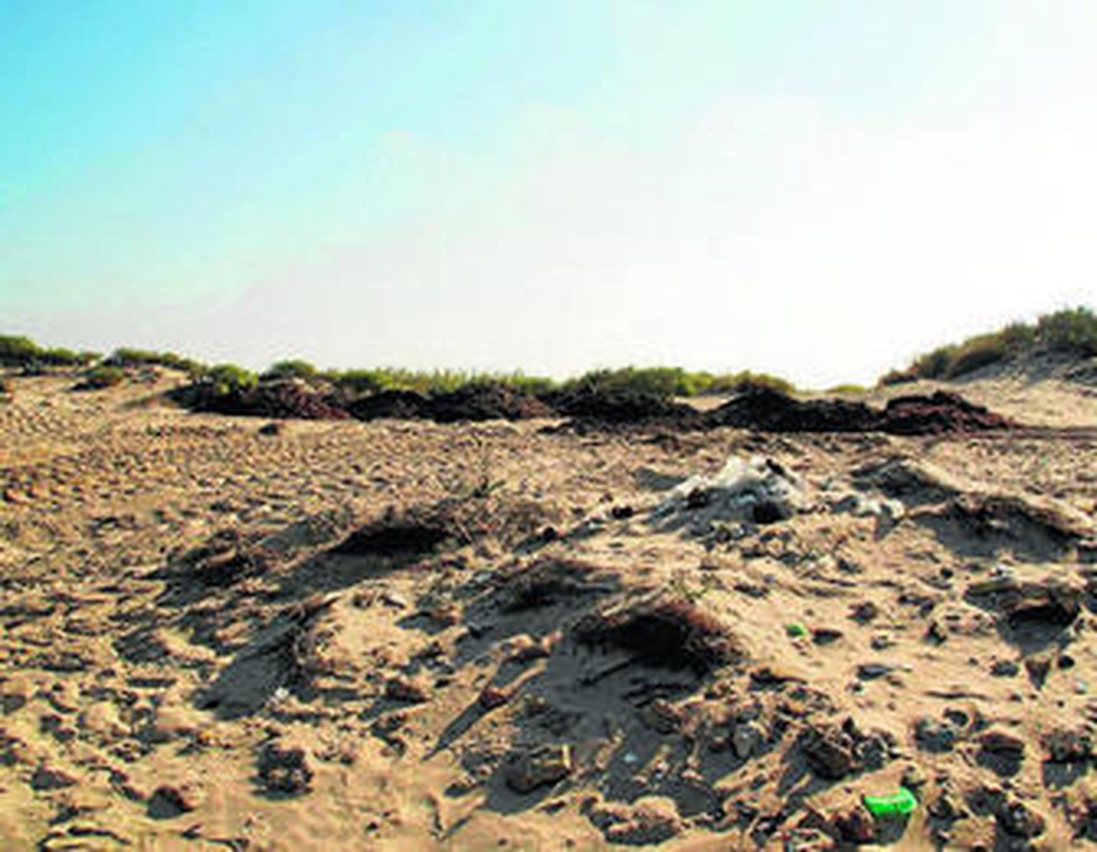 Imagen de uno de los montículos de algas de la playa de Las Tres Piedras.