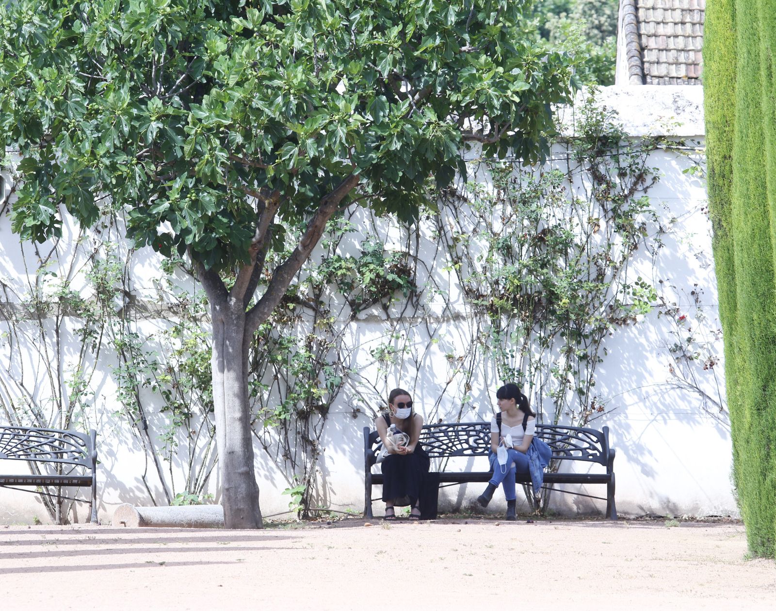Las fotografías de la reapertura al público del Alcázar