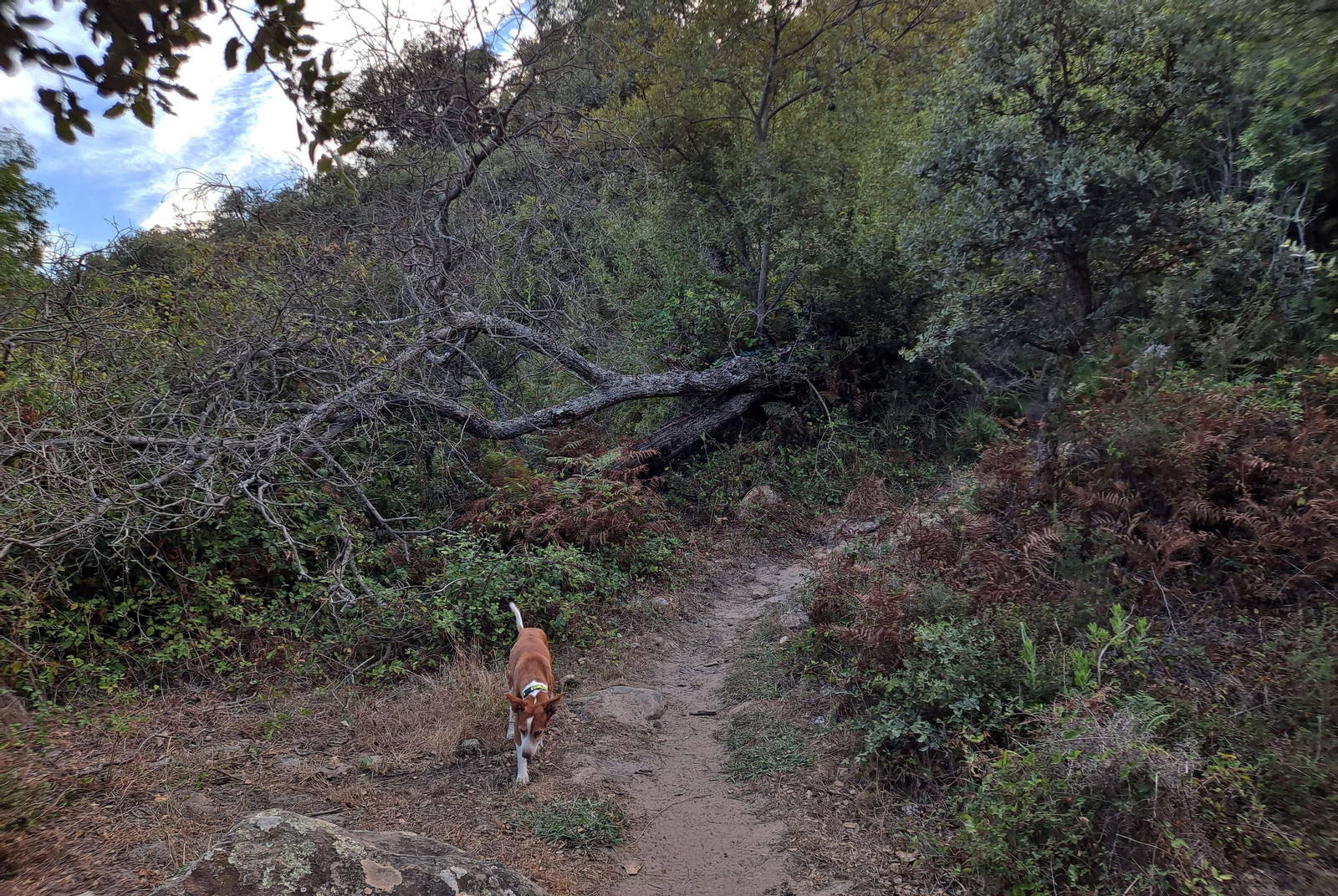 Fotos del sendero del Chorro de Pelayo en Algeciras