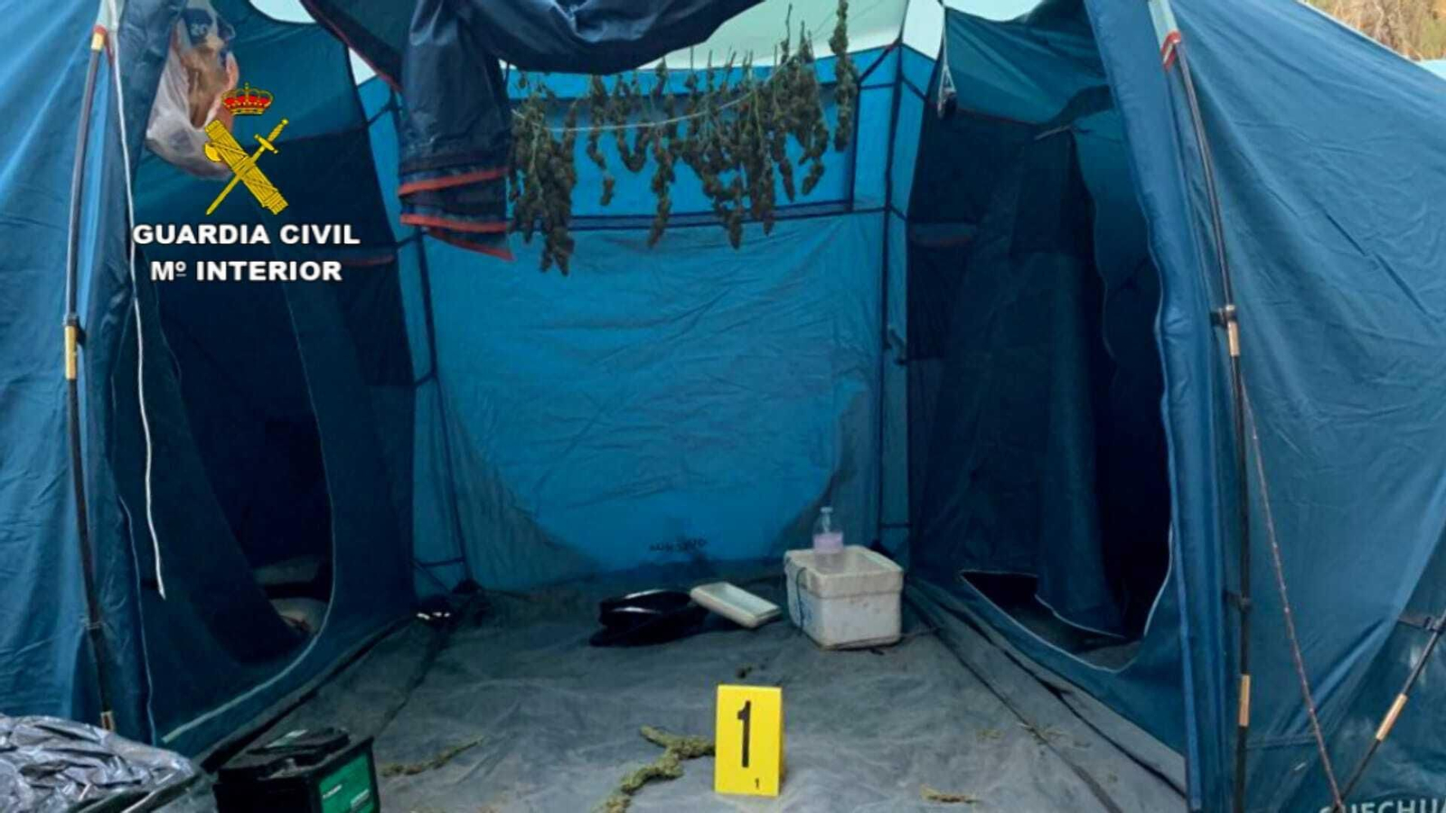 Imágenes de la actuación de la Guardia Civil en el Coto de Bornos