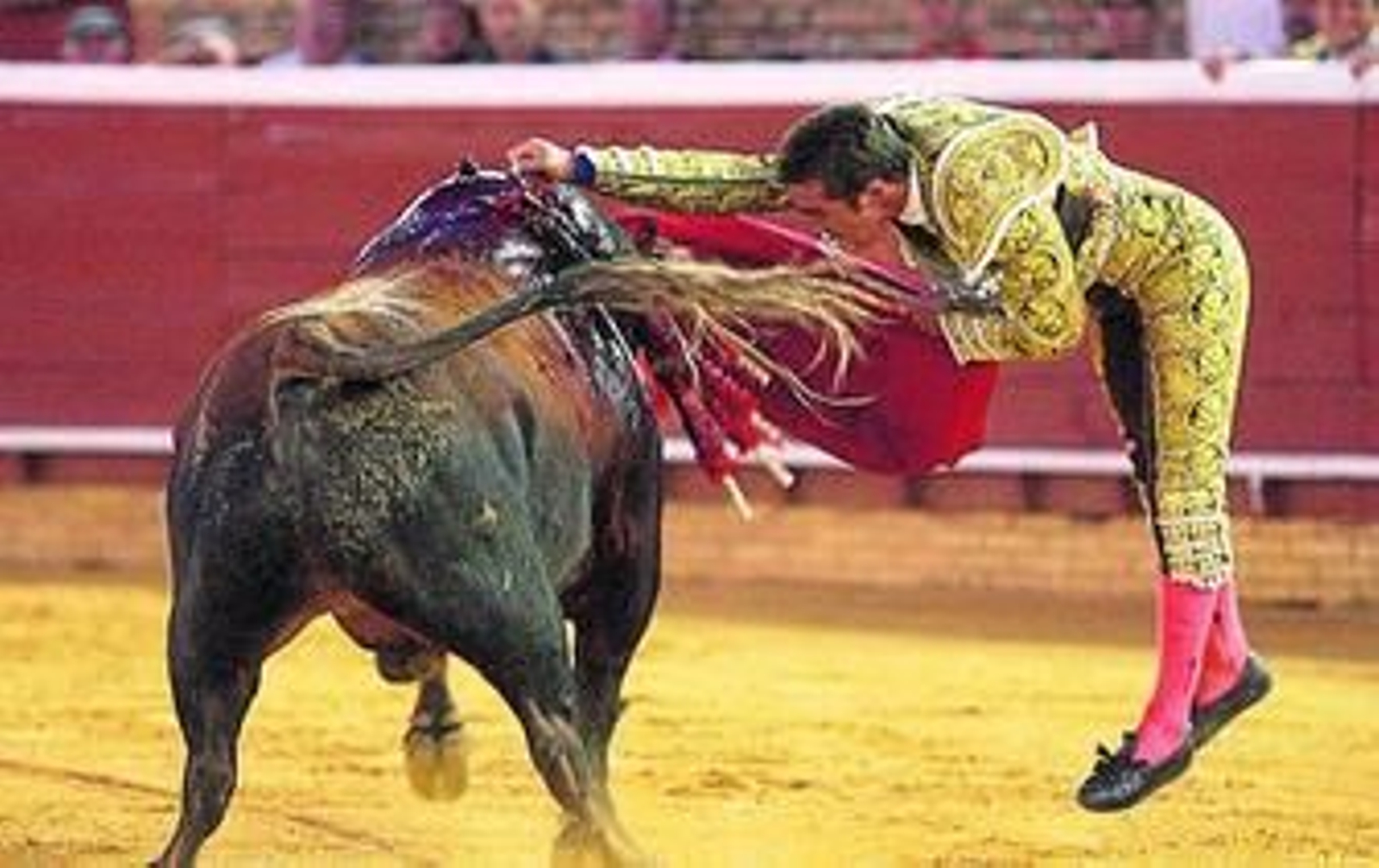 Estocada de David Fandila 'El Fandi' al toro que cerró el festejo y frente al que el granadino consiguió dos orejas de Puerta Grande.