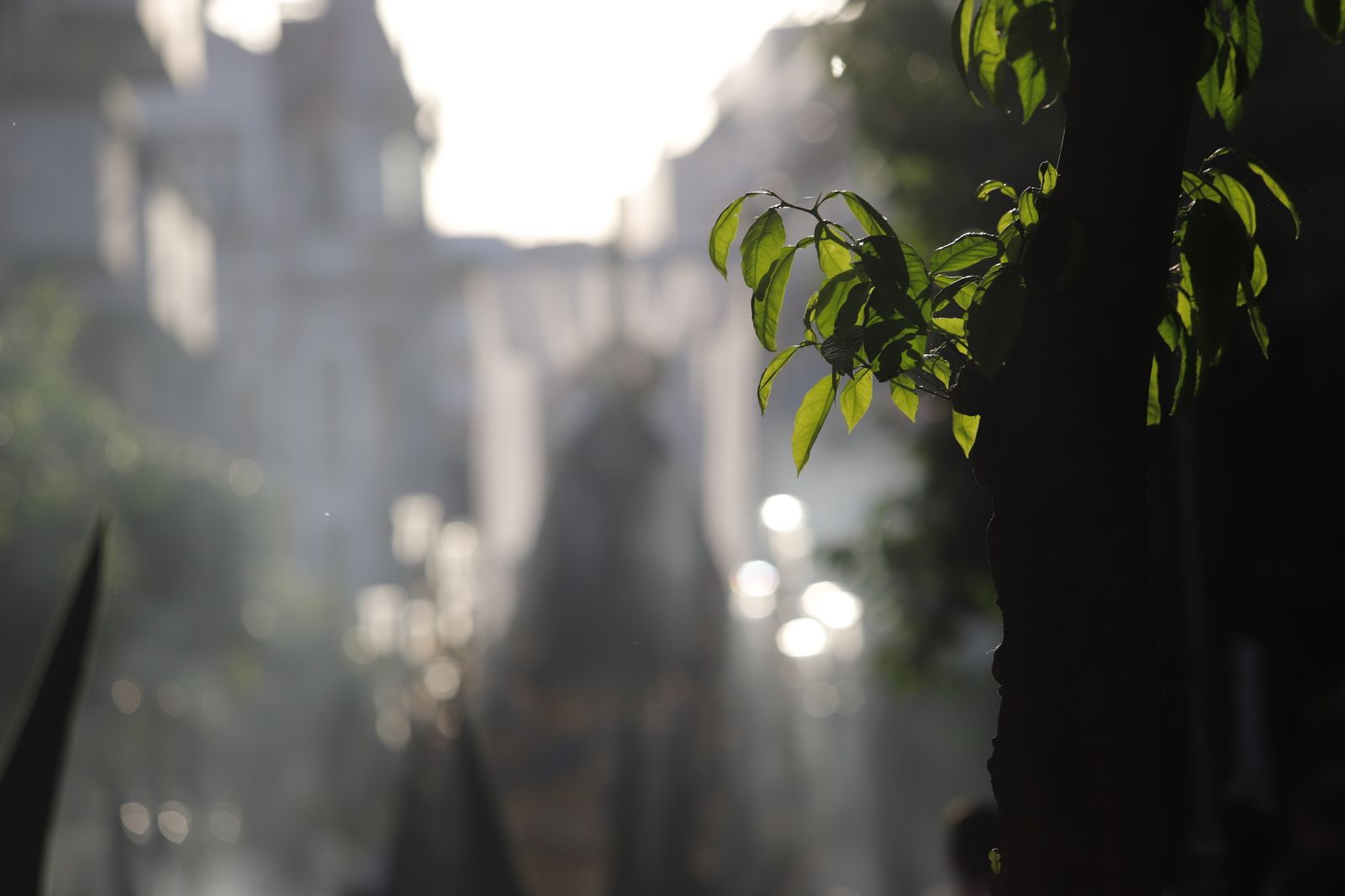 La Hermandad de la Soledad recorre las calles de Huelva en el Viernes Santo