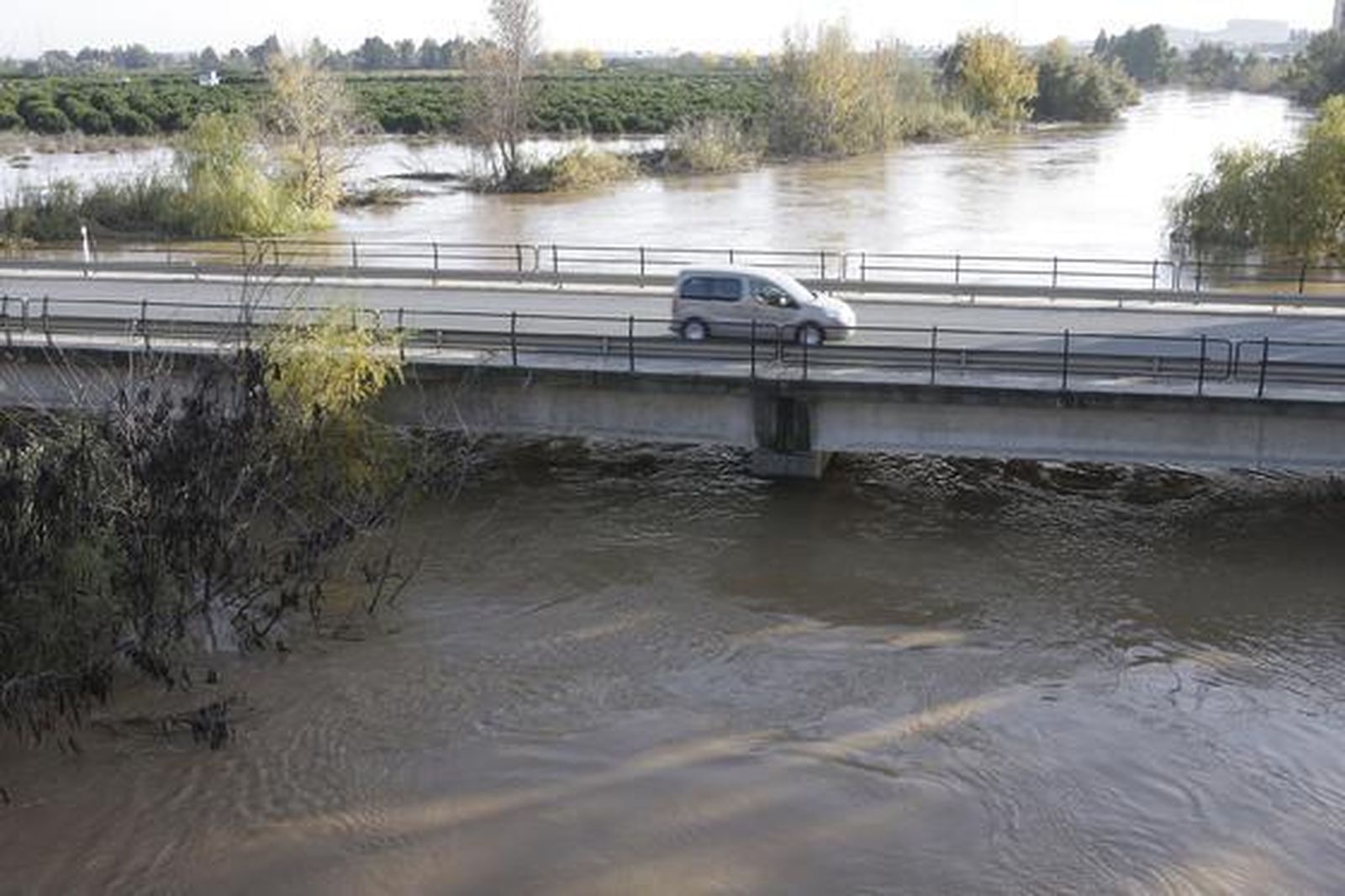 Foto: José Ángel García