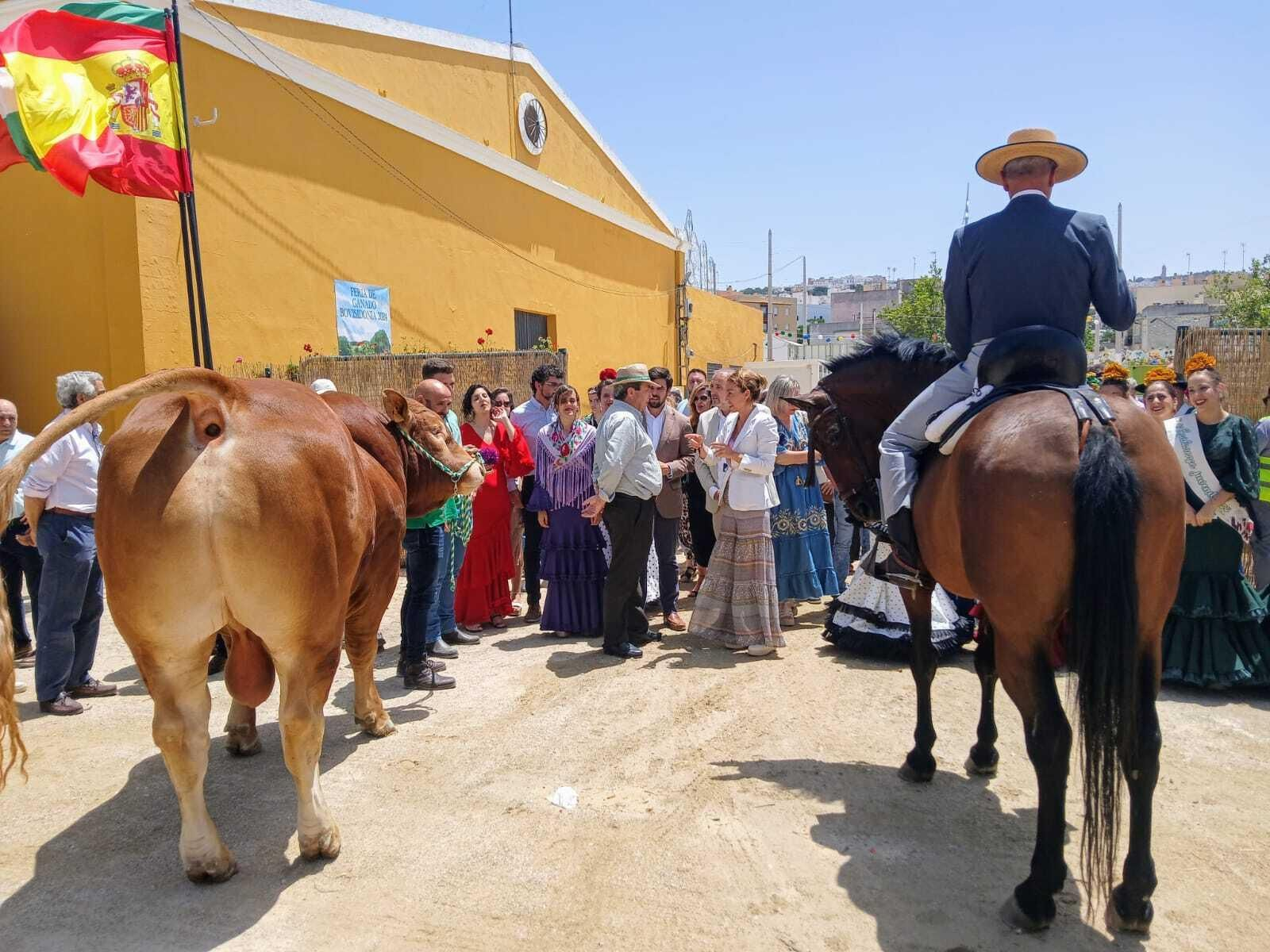 Imágenes de la Feria de Medina y su  concurso de ganado