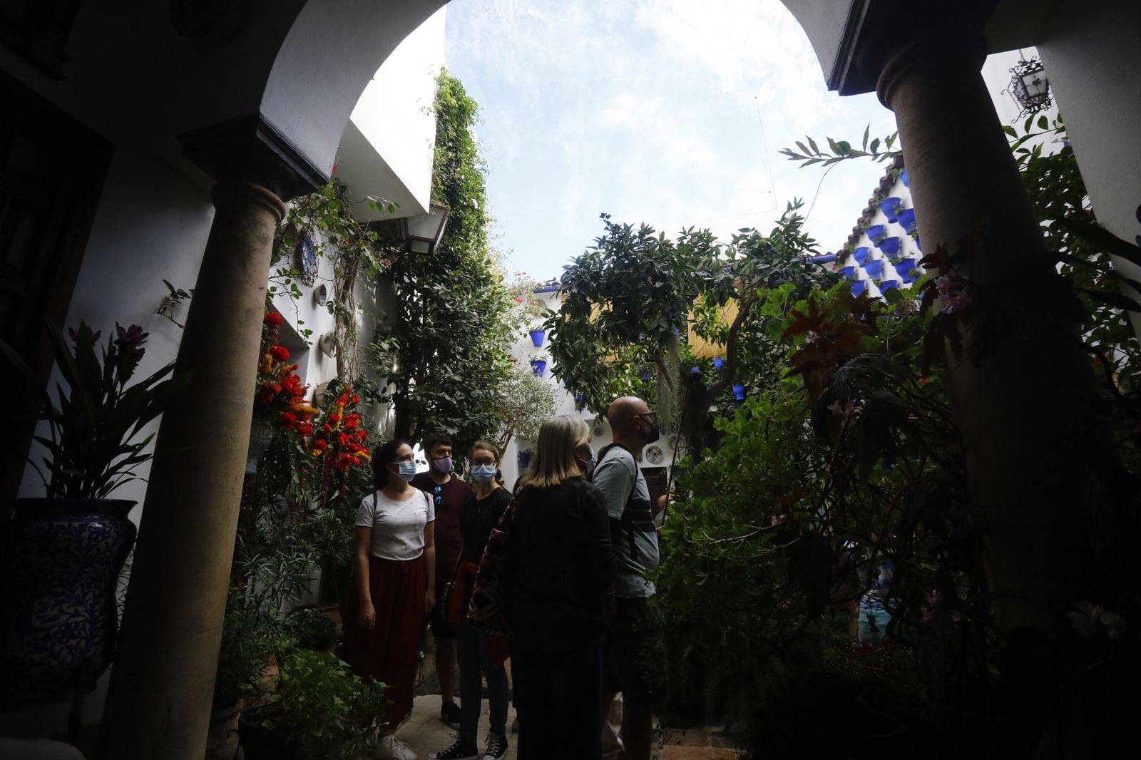 Un recorrido en fotografías por los Patios de Córdoba un domingo de otoño