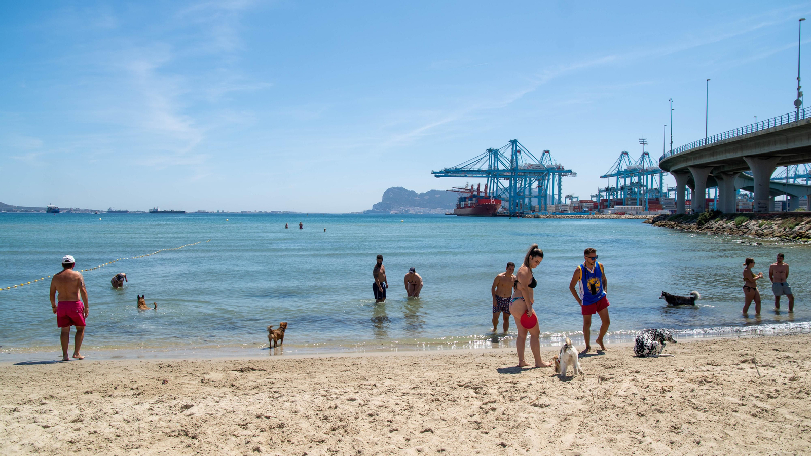 Una Tarde de perros en la playa