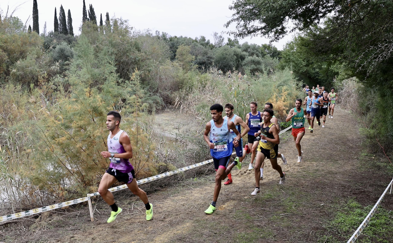 Cross Internacional de Itálica