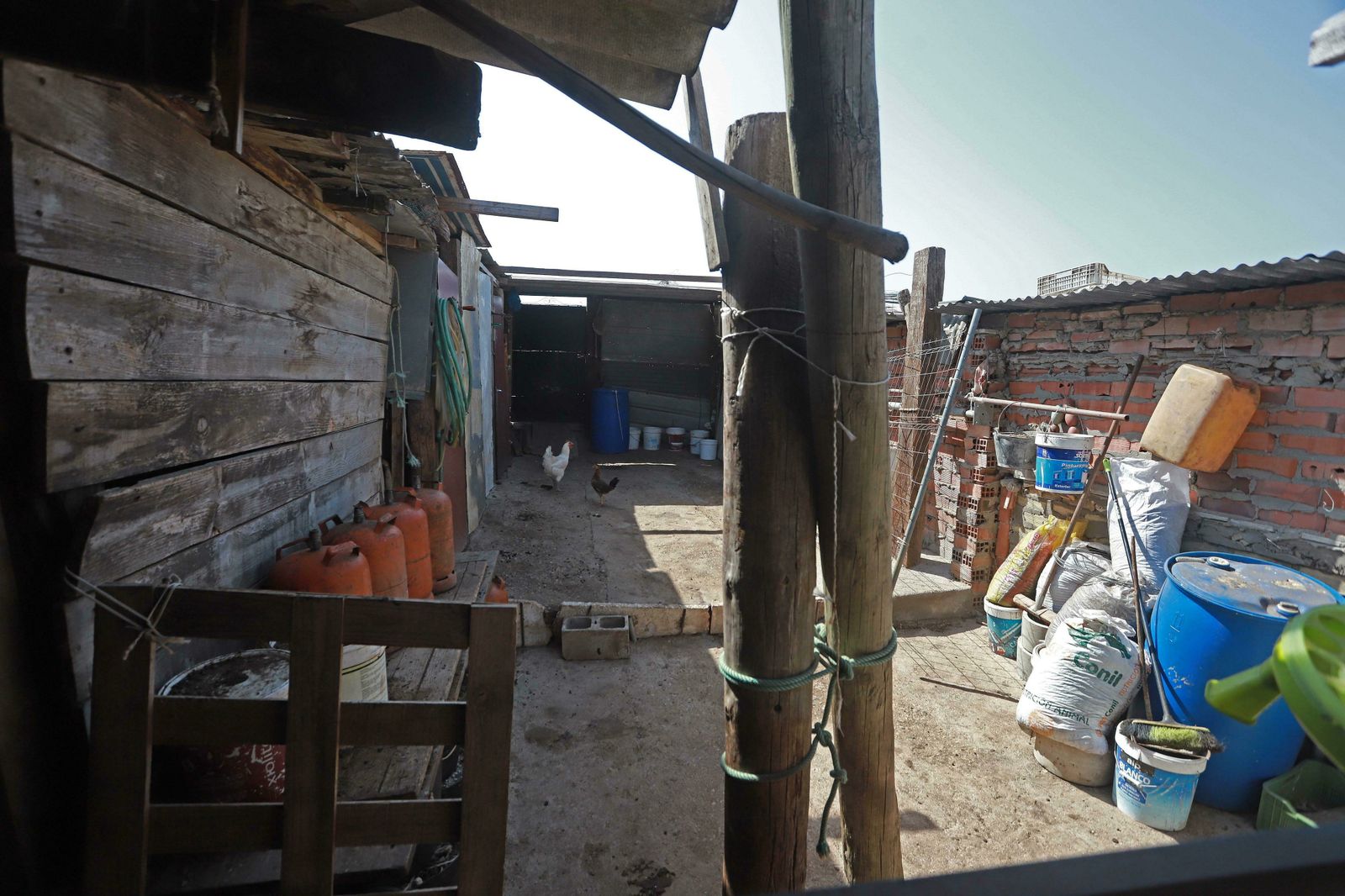 El corral en el que estaban las ovejas cuando fueron robadas