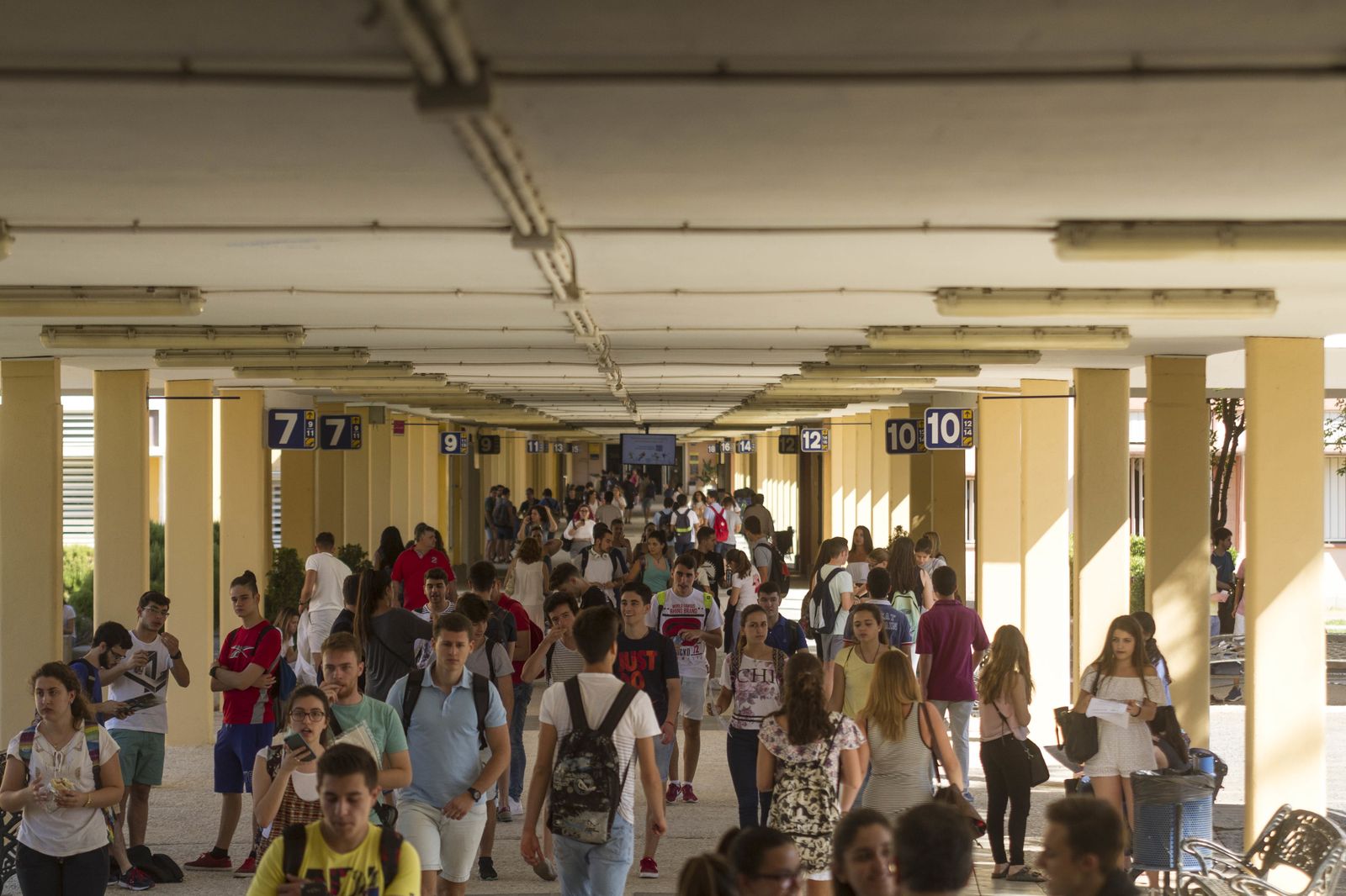 La primera jornada de Selectividad en Sevilla, en imágenes