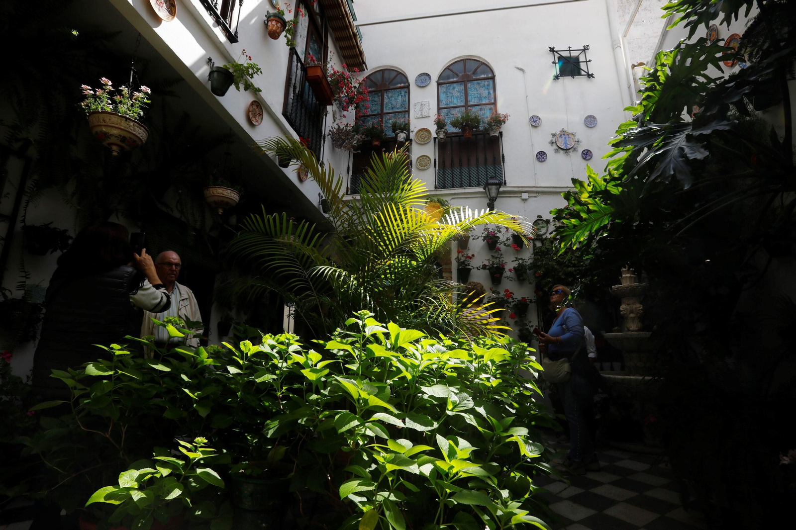 Los patios de Córdoba de la ruta Judería-San Francisco, en imágenes
