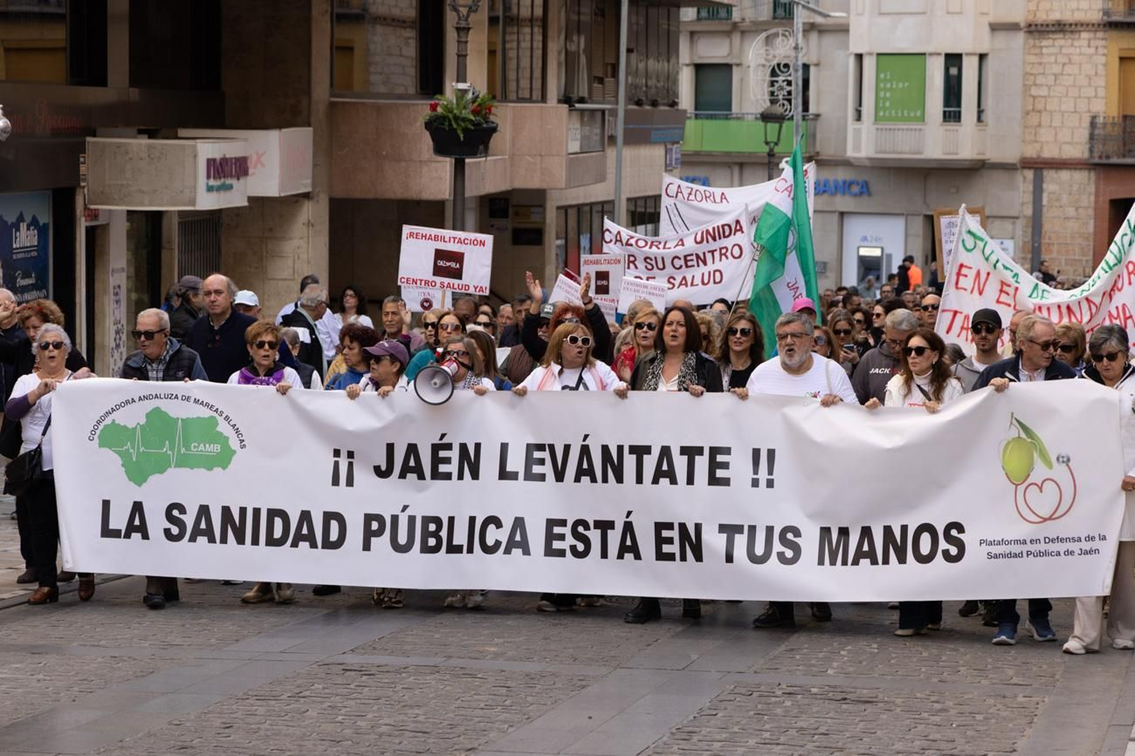 Manifestación "Sanidad cien por cien pública"