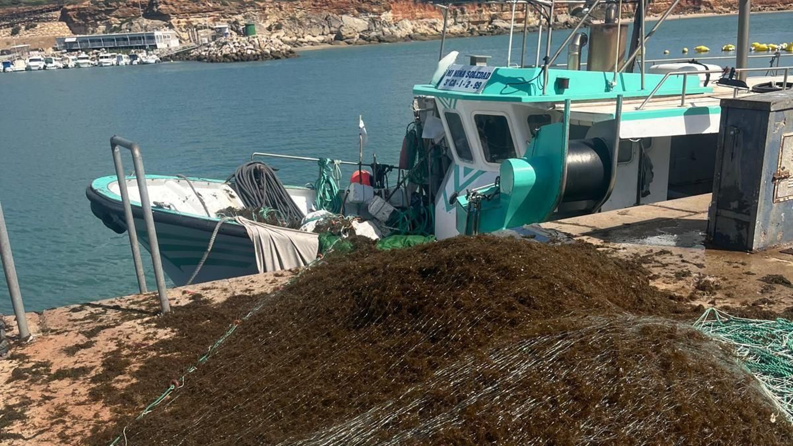 Uno de los barcos en puerto con la descarga de alga asiática que impiden las capturas