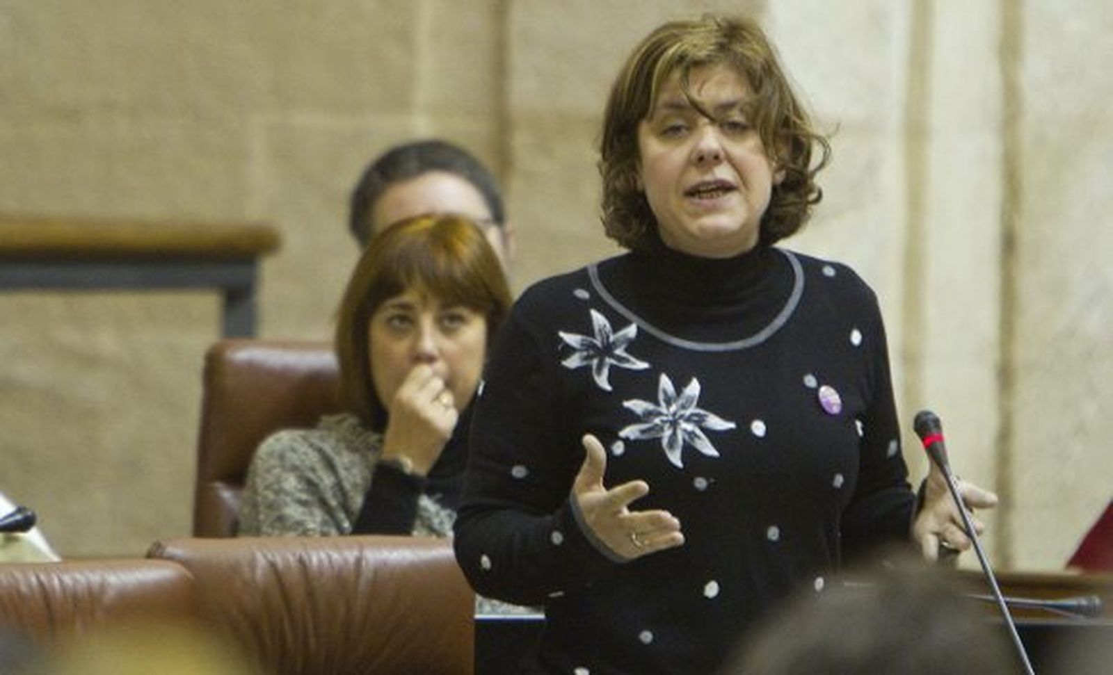 El Parlamento andaluz pide al Gobierno retirar la ley del aborto con la oposición del PP