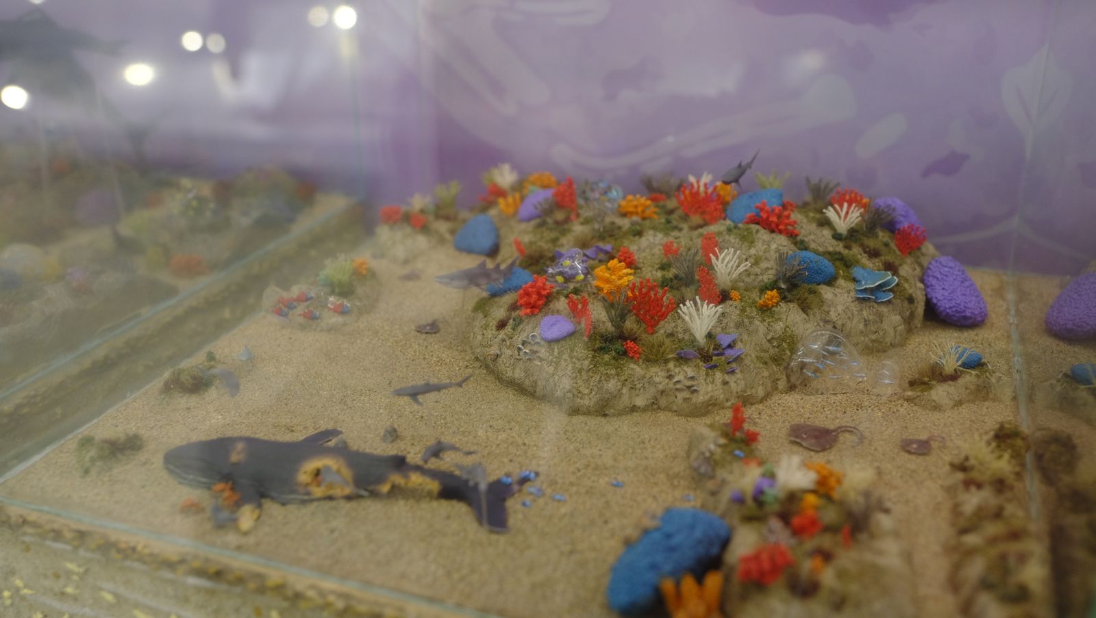 Las mejores imágenes del Pabellón de Historia Natural de la UAL