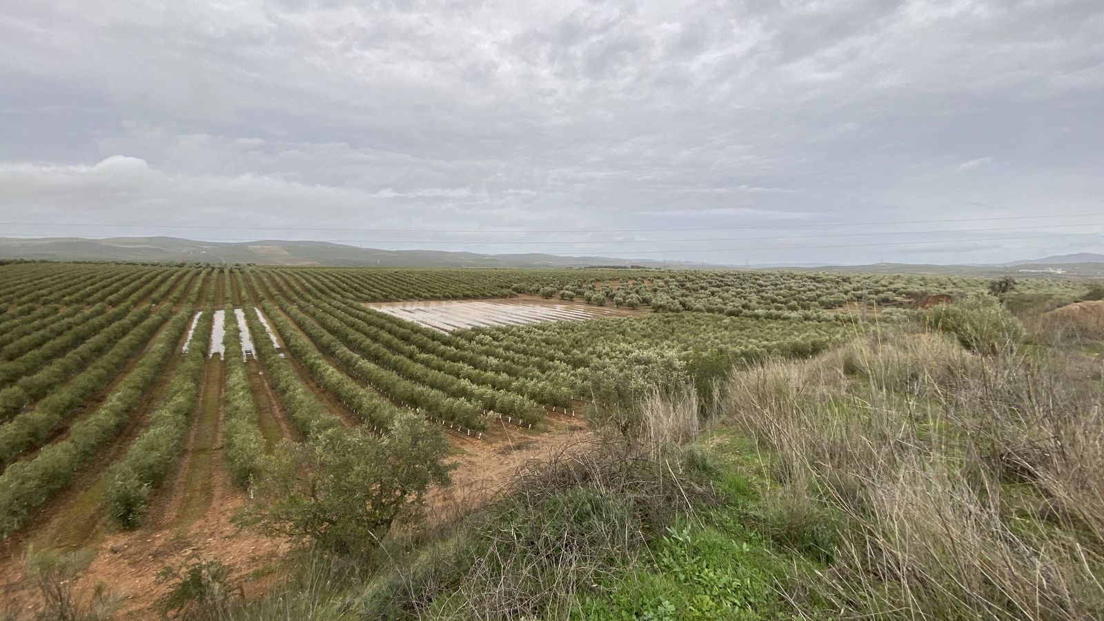 Panorámica de laguna de la Gamonosa.