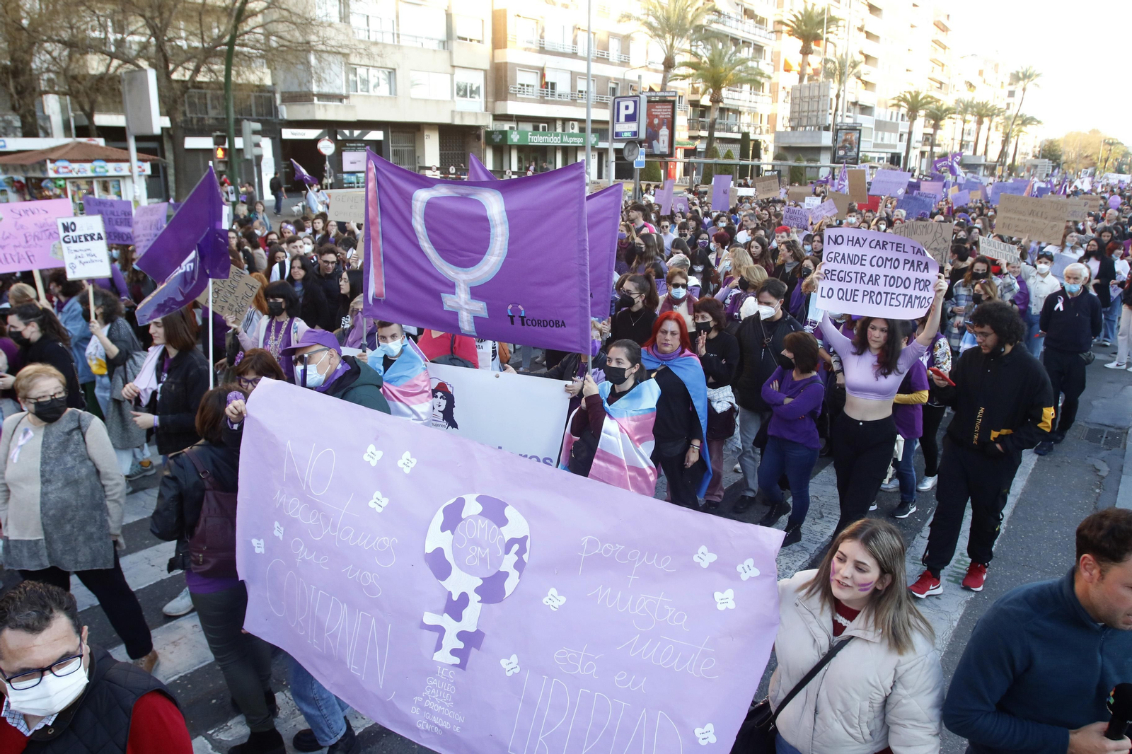 La manifestación del 8M en Córdoba, en fotografías