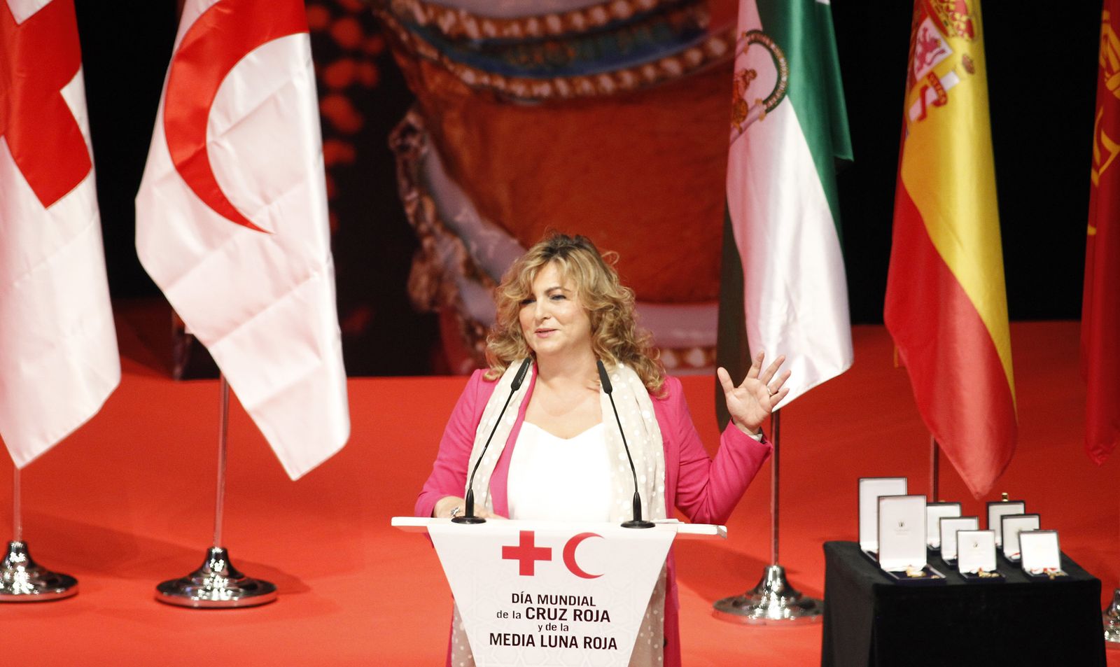 La entrega de Medallas de Oro de la Cruz Roja