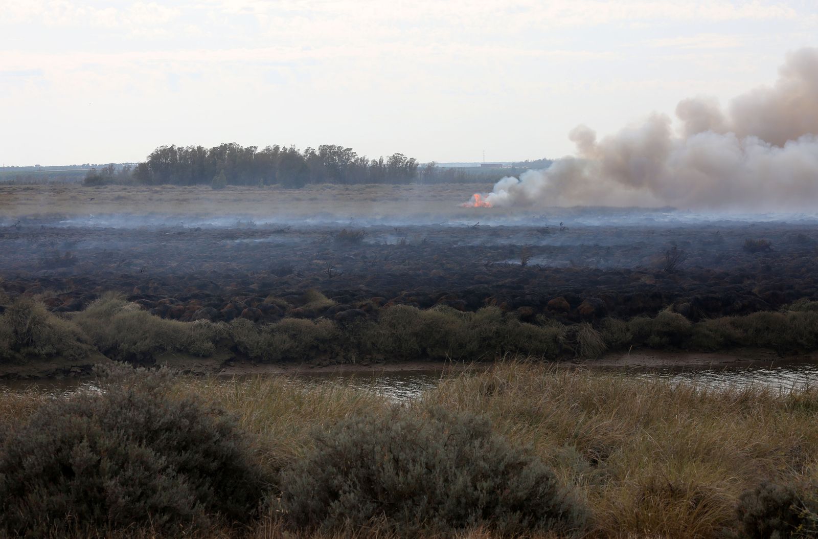 Imágenes del incendio declarado en marismas del Odiel