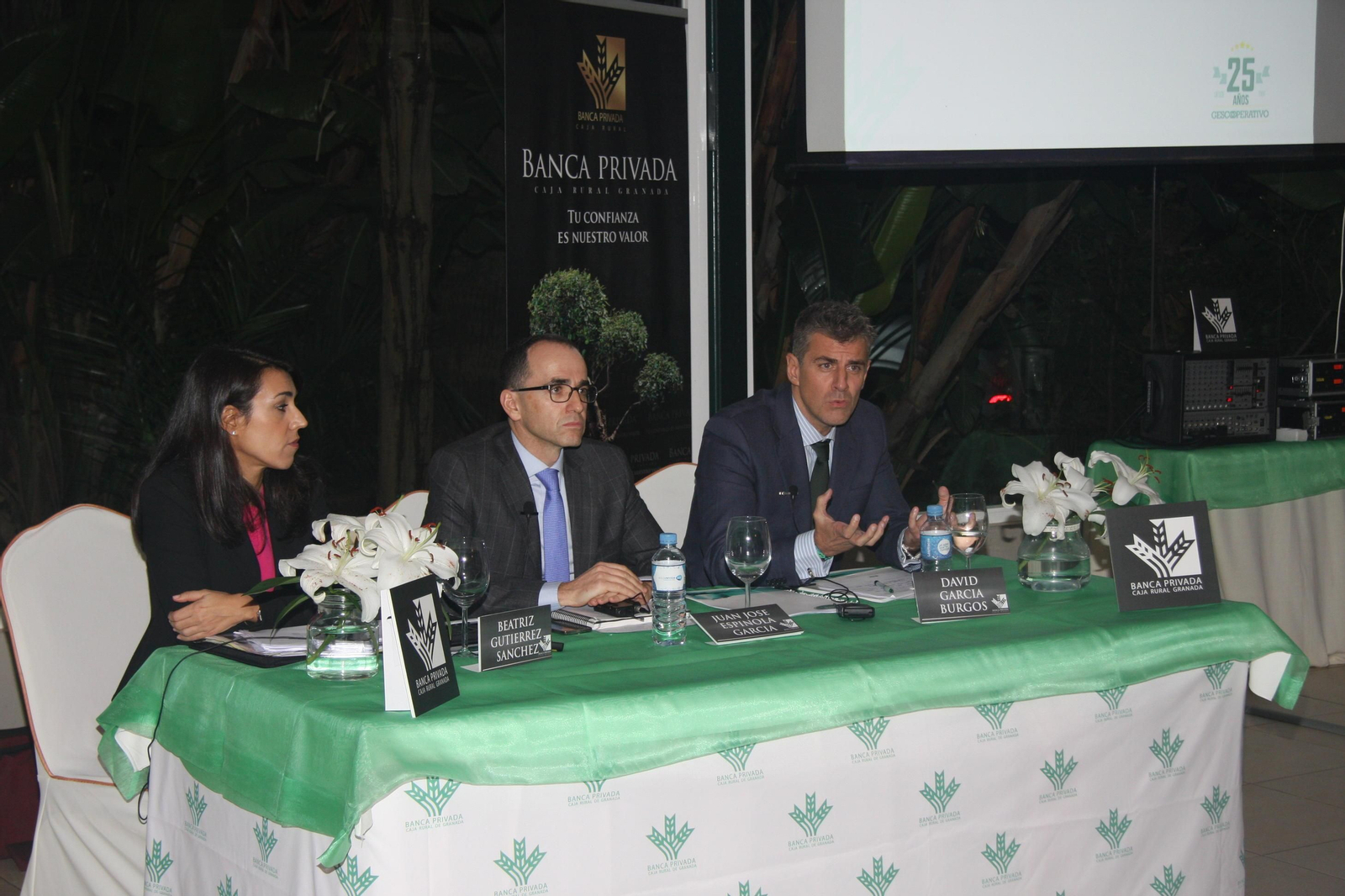 Caja Granada guía la inversión