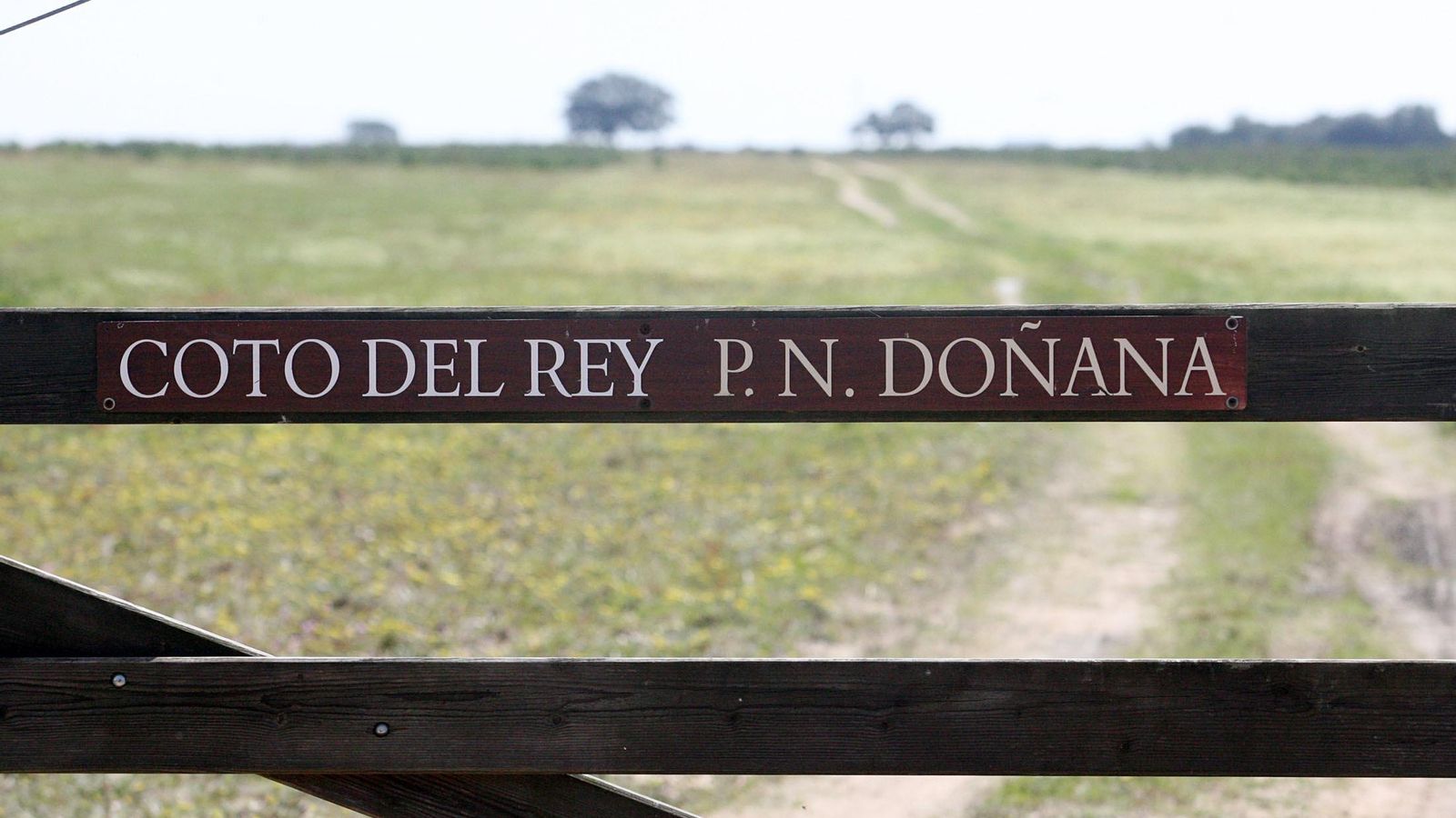 Coto del Rey en Hinojos