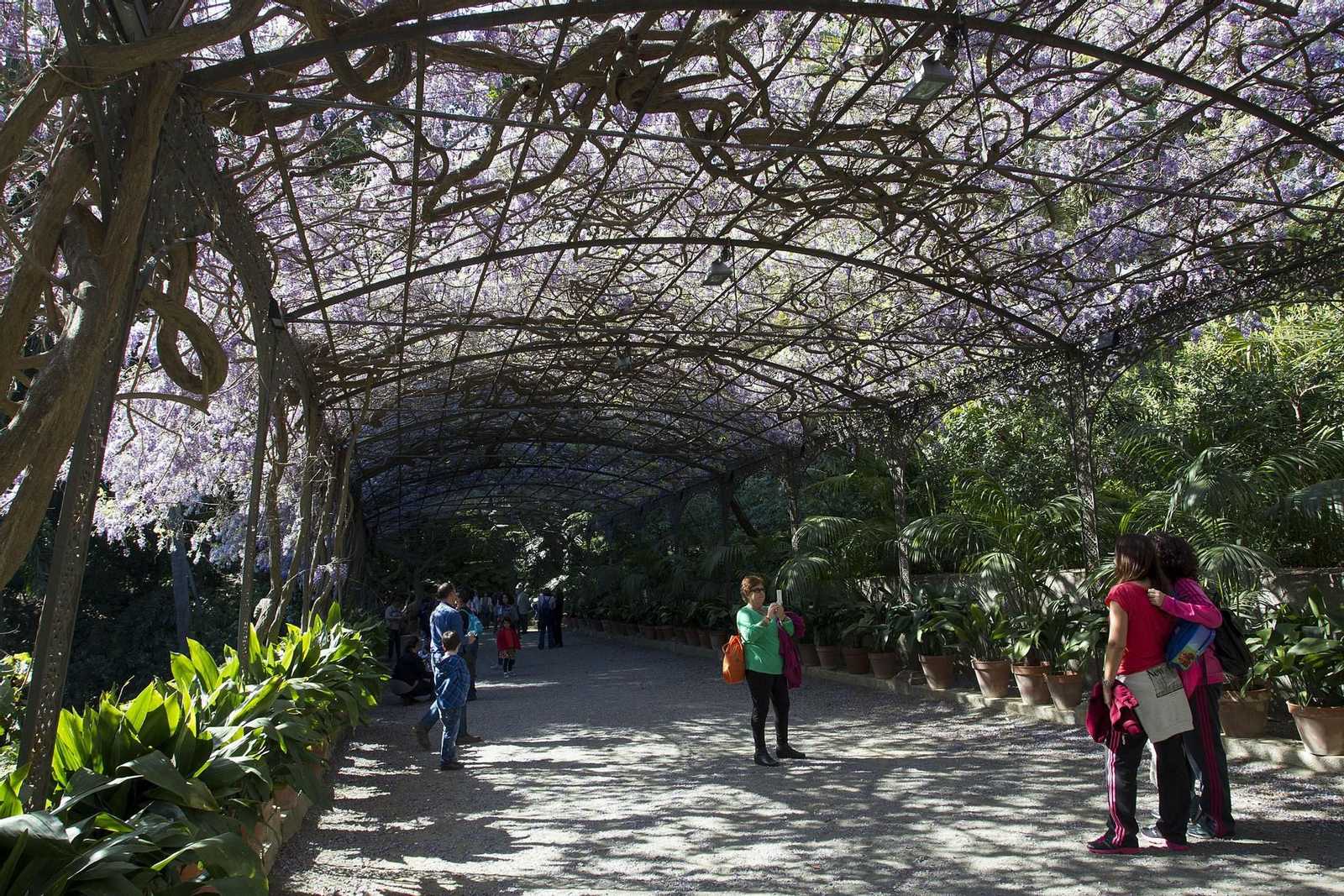 Jardín de la Concepción.