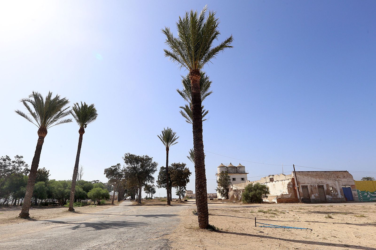 o Los empresarios censuran, entre otras iniciativas, las trabas al Plan Especial de Sancti Petri.