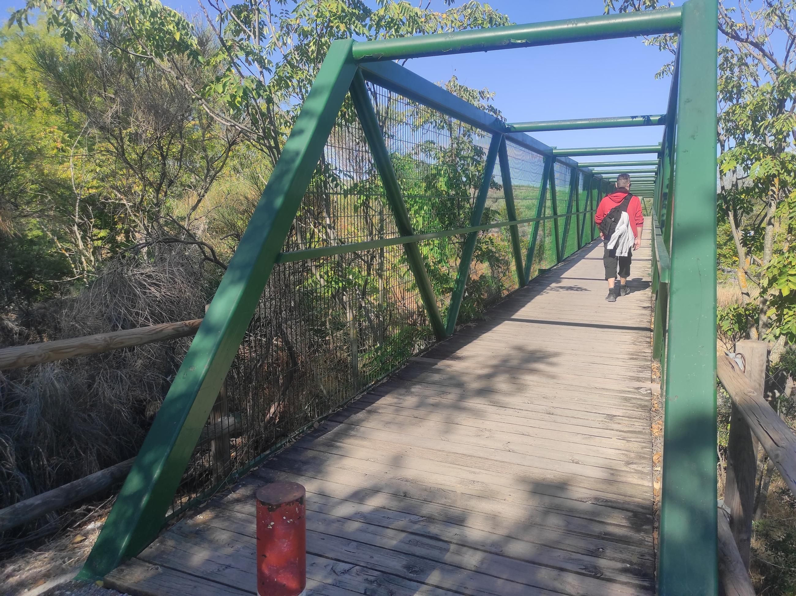 De Torredelcampo a Porcuna por la Vía Verde del Aceite: túneles, pasarelas y arte