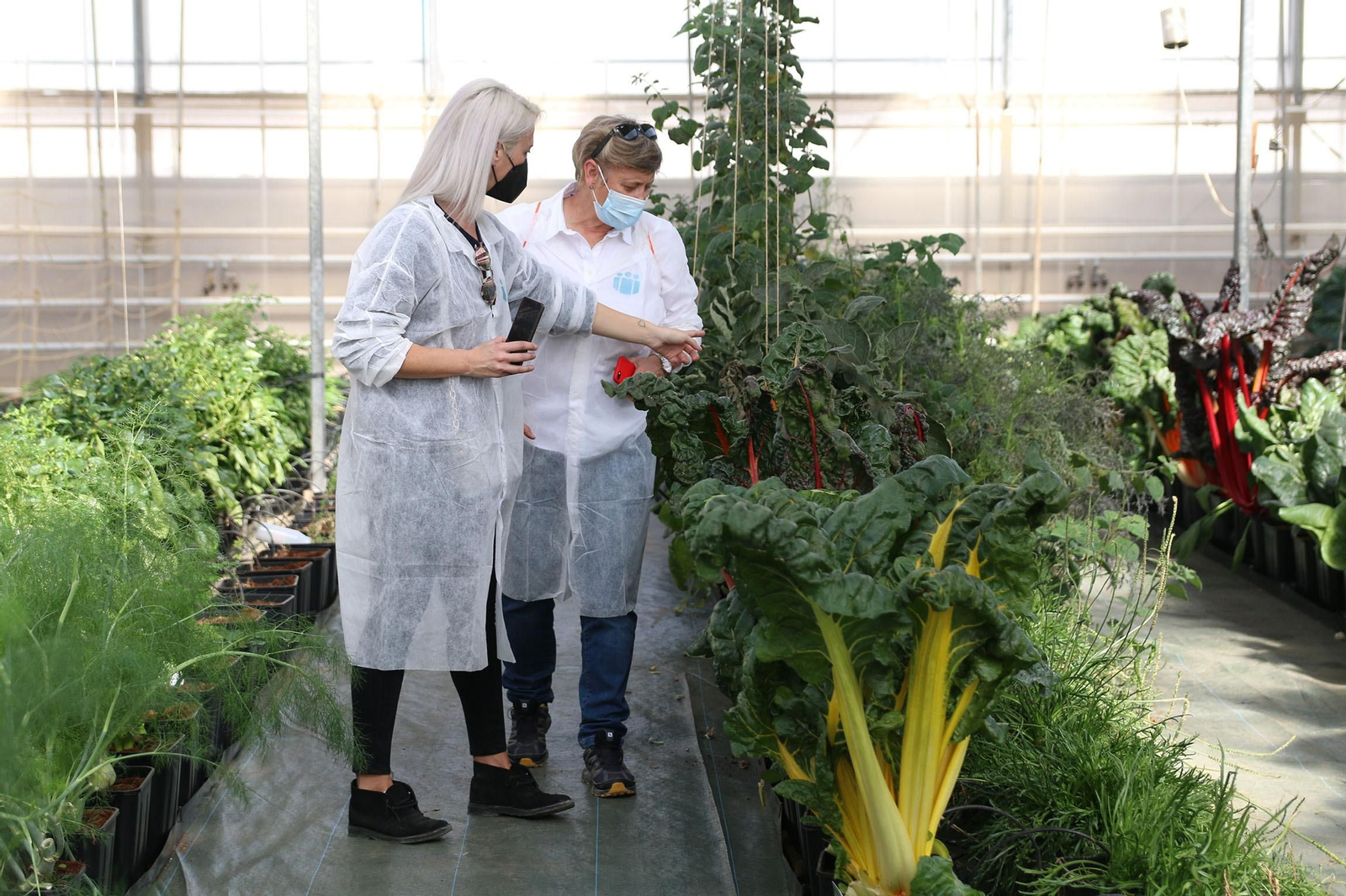 Fotogalería de la presentación de Plataforma Tierra, de Cajamar e IBM