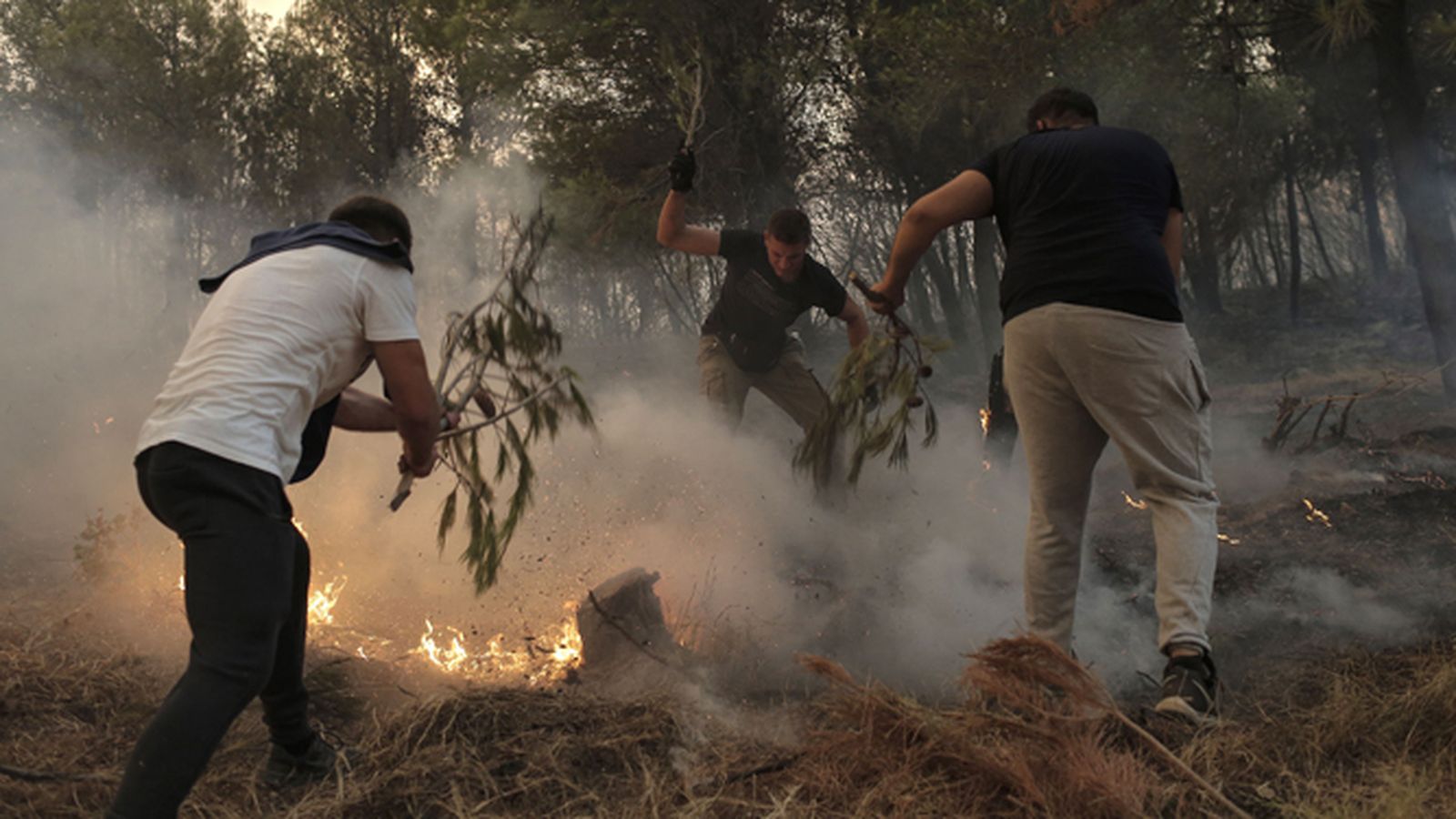 Jóvenes voluntarios luchan contra las llamas en el área de Tatoi, cerca de Atenas.