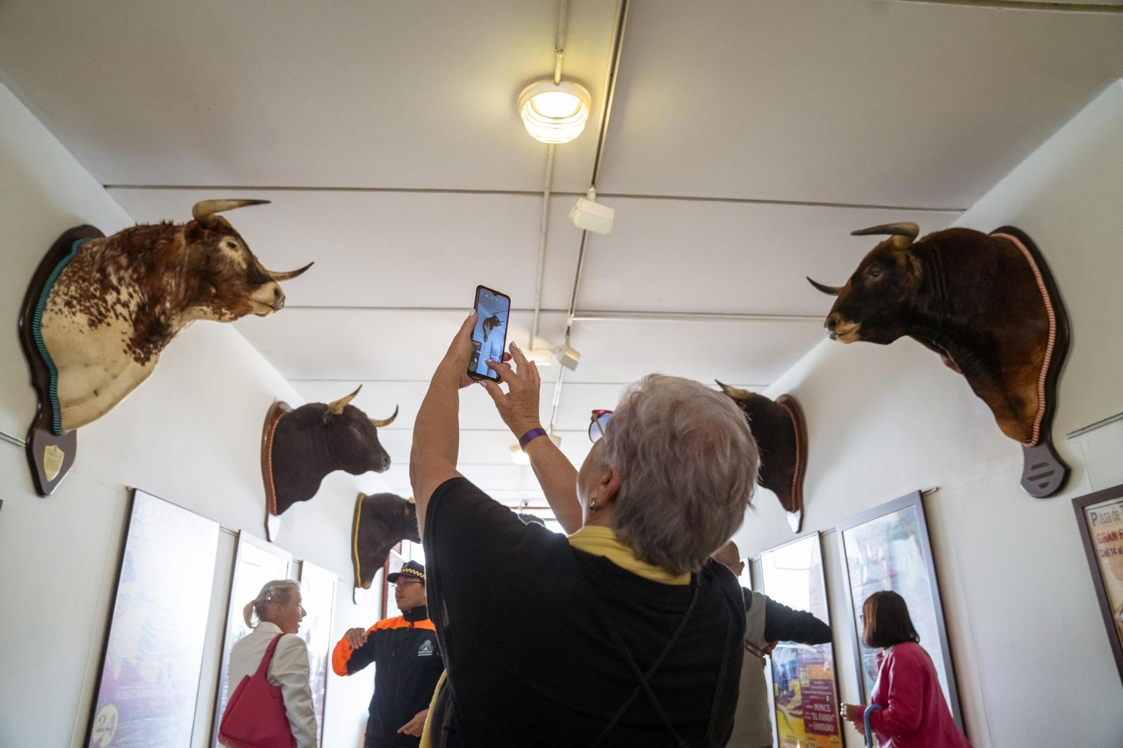 La Gran Fritá Roquetera, en imágenes