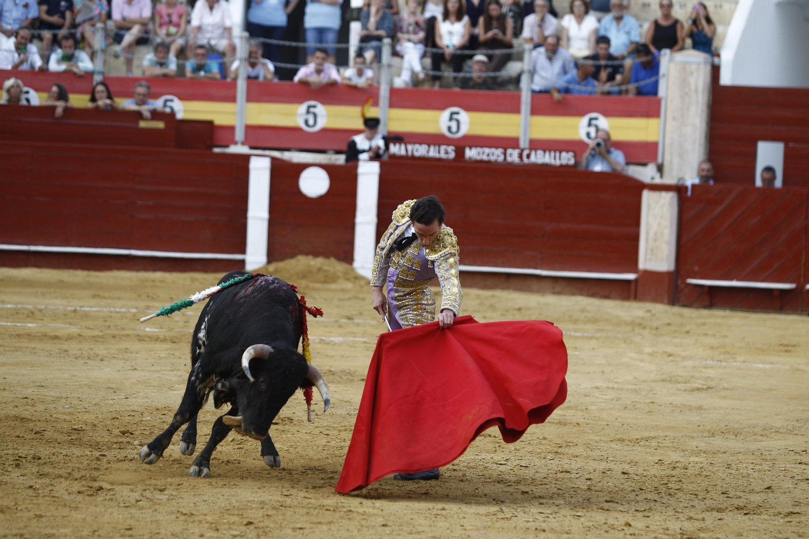 Imágenes de la novillada de la Feria de Almería 2025