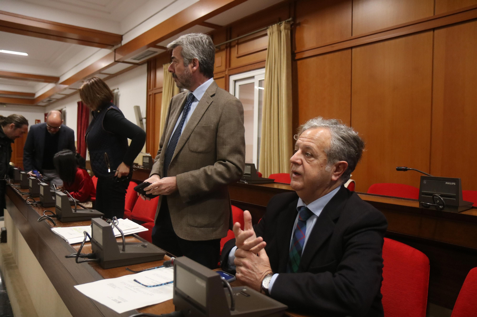 El delegado del área, Miguel Ángel Torrico, durante el Pleno extraordinario. El delegado del área, Miguel Ángel Torrico, durante el Pleno extraordinario.