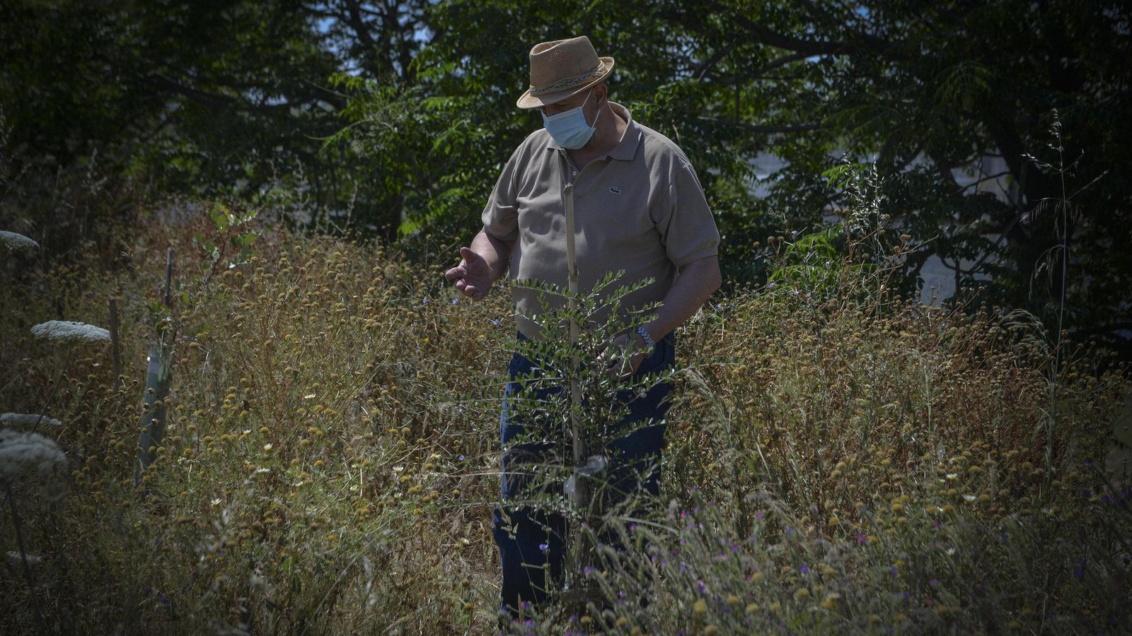 Ángel Luis Álvarez muestra uno de los árboles plantados en el Paseo Juan Saura.