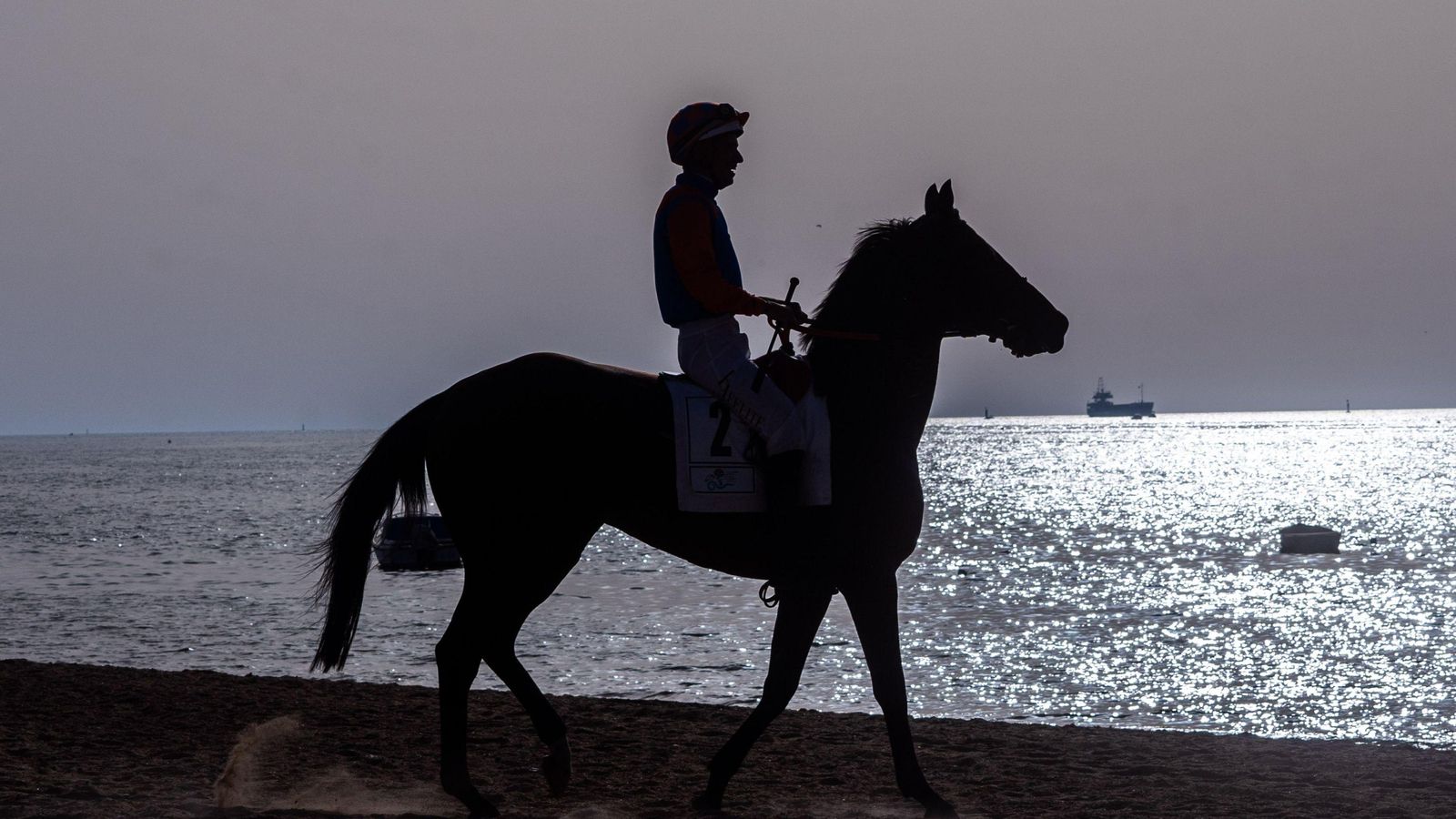 Uno de los caballos participantes en las carreras, al atardecer.