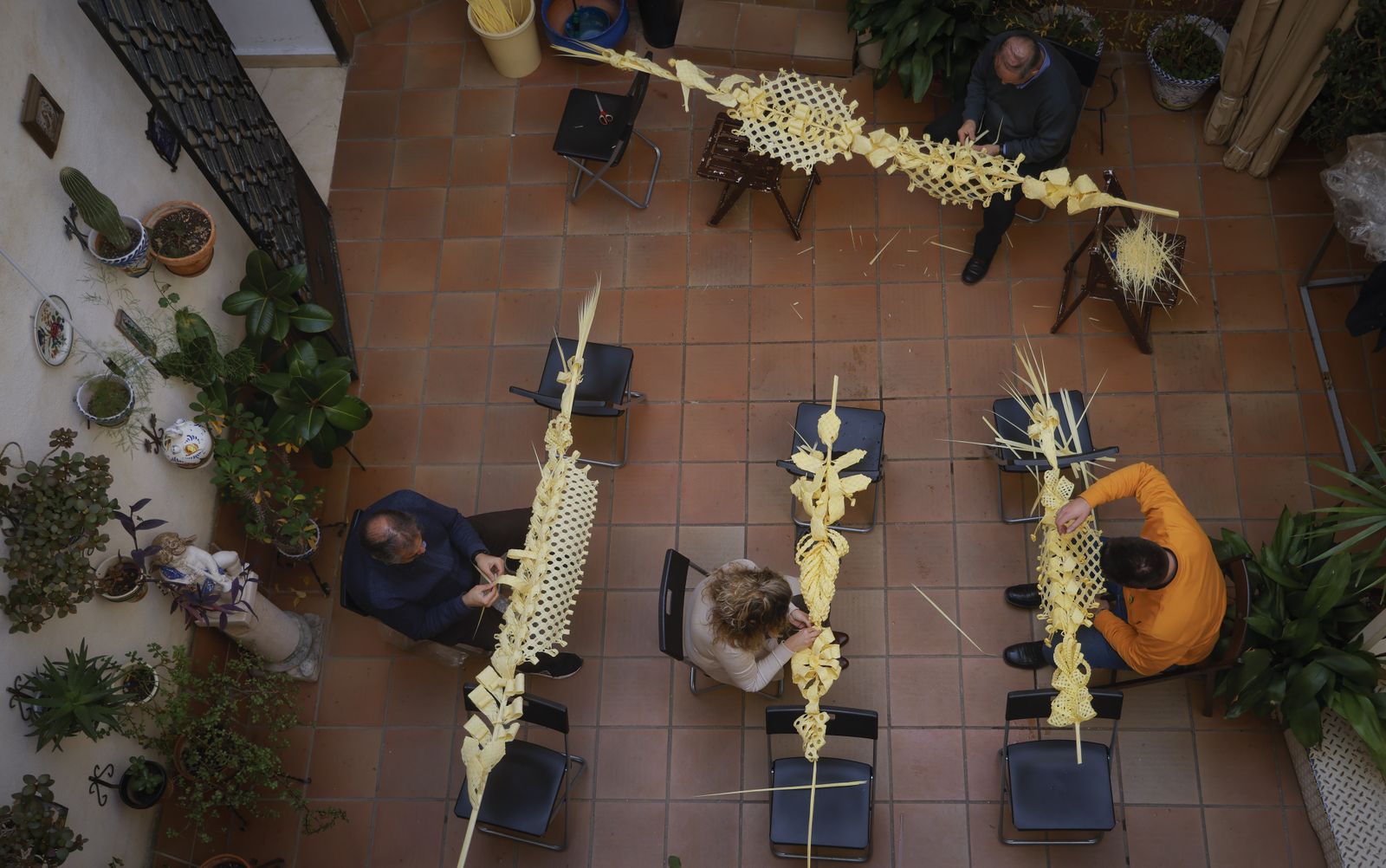 La elaboración de palmas rizadas en la Divina Pastora, todas las imágenes