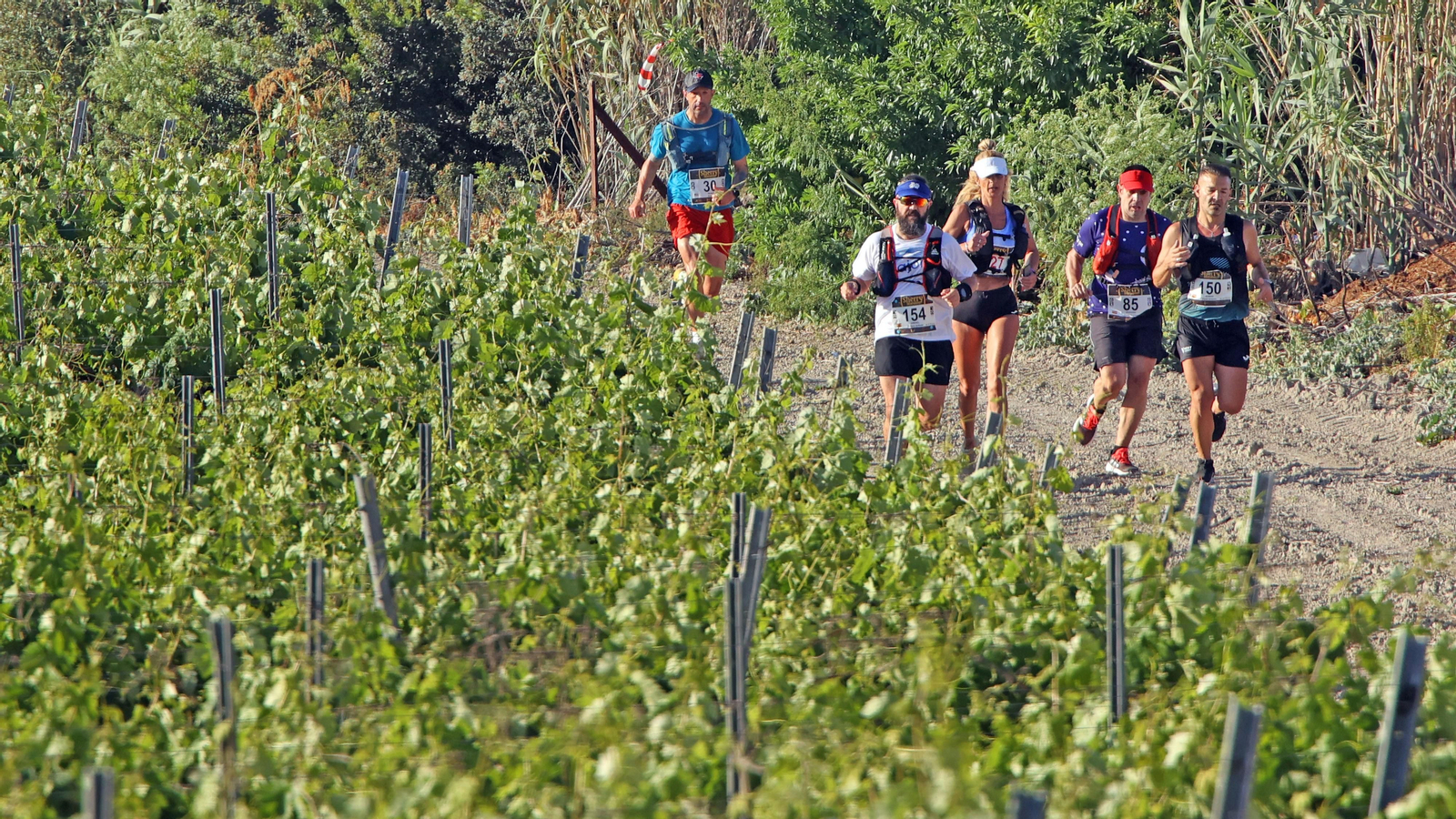 VI Sherry Maratón Jerez