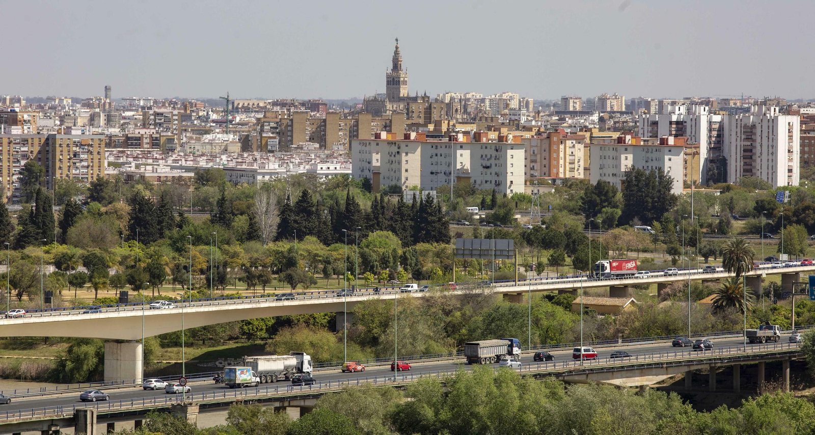 El papel del arbolado en Sevilla, clave para desafiar el cambio climático
