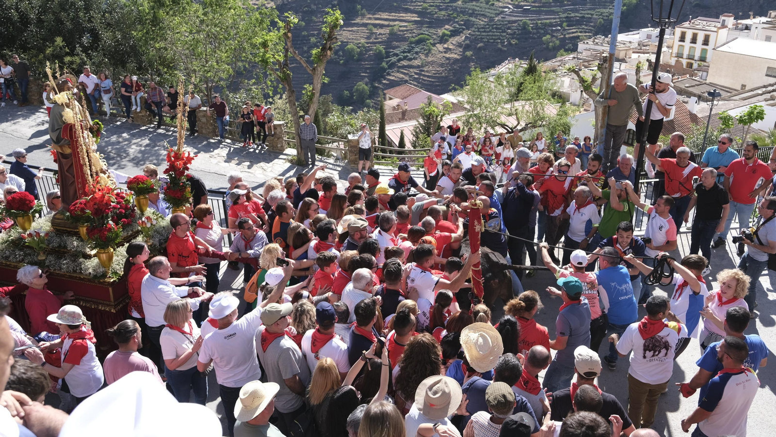 Imágenes de los toros ensogaos y San Marcos, en las Fiestas de Ohanes
