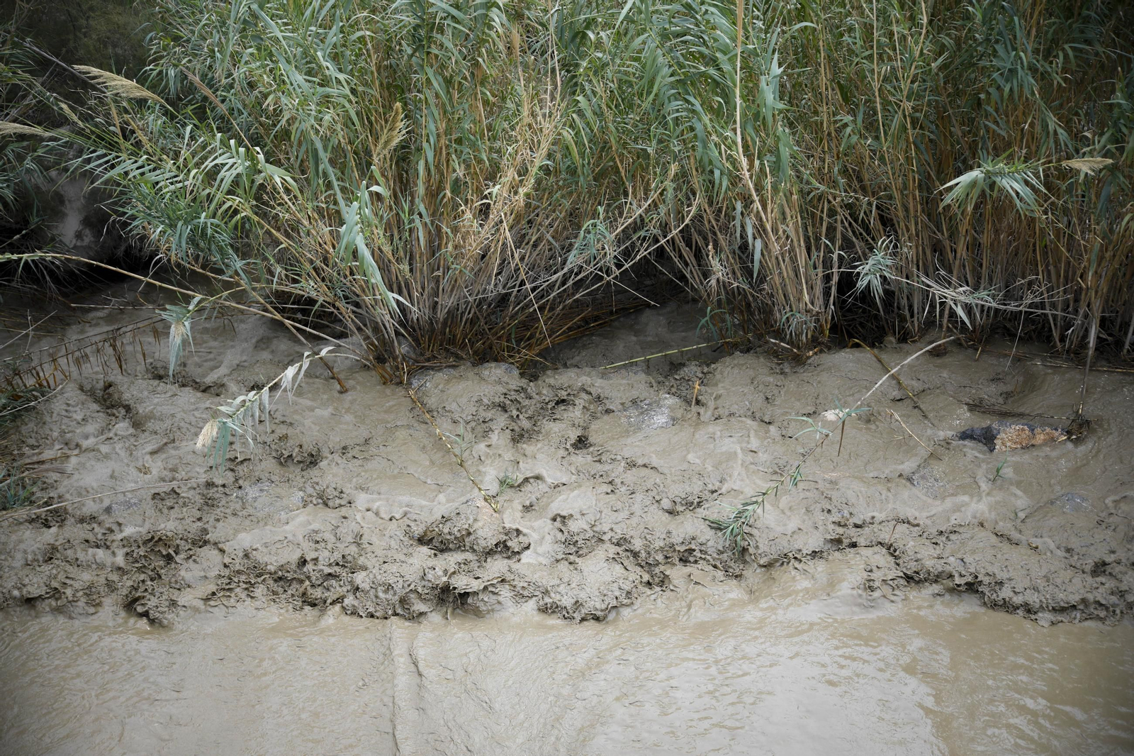 La desembocadura del río Andarax, en imágenes